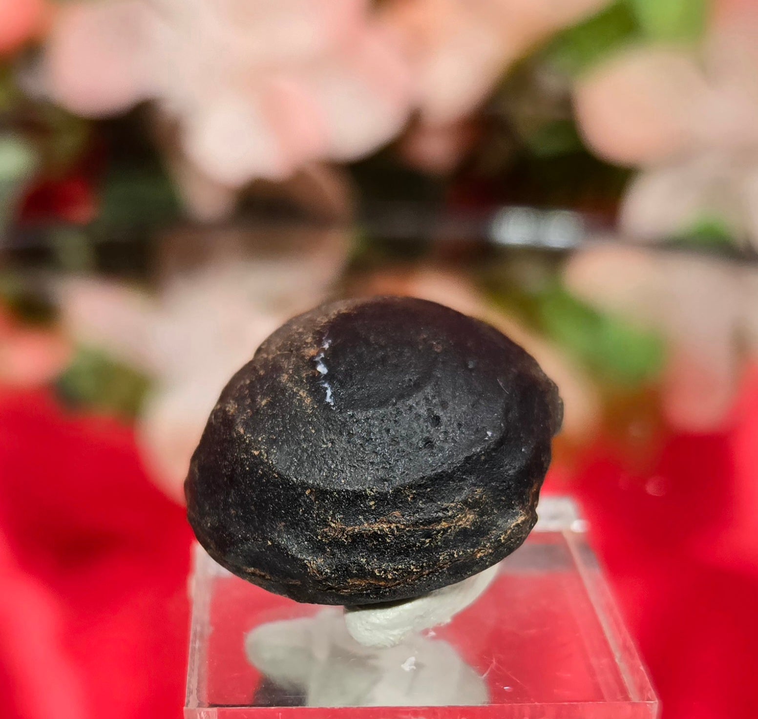 TEKTITE