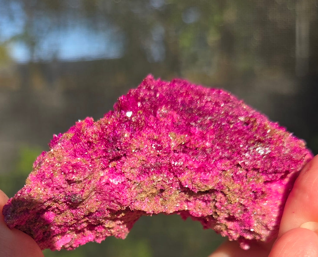 RUBY WITH EPIDOTE CLUSTER