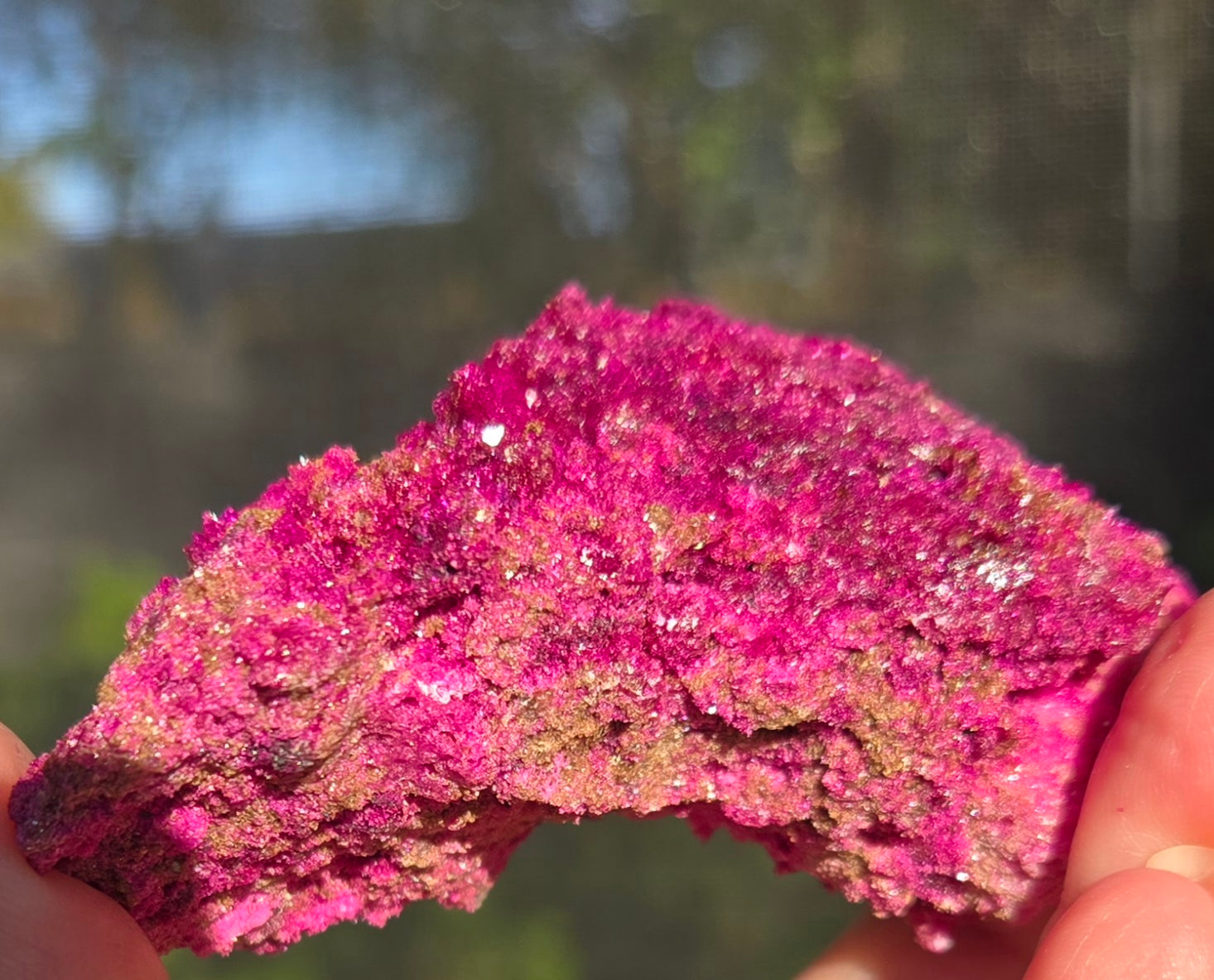 RUBY WITH EPIDOTE CLUSTER