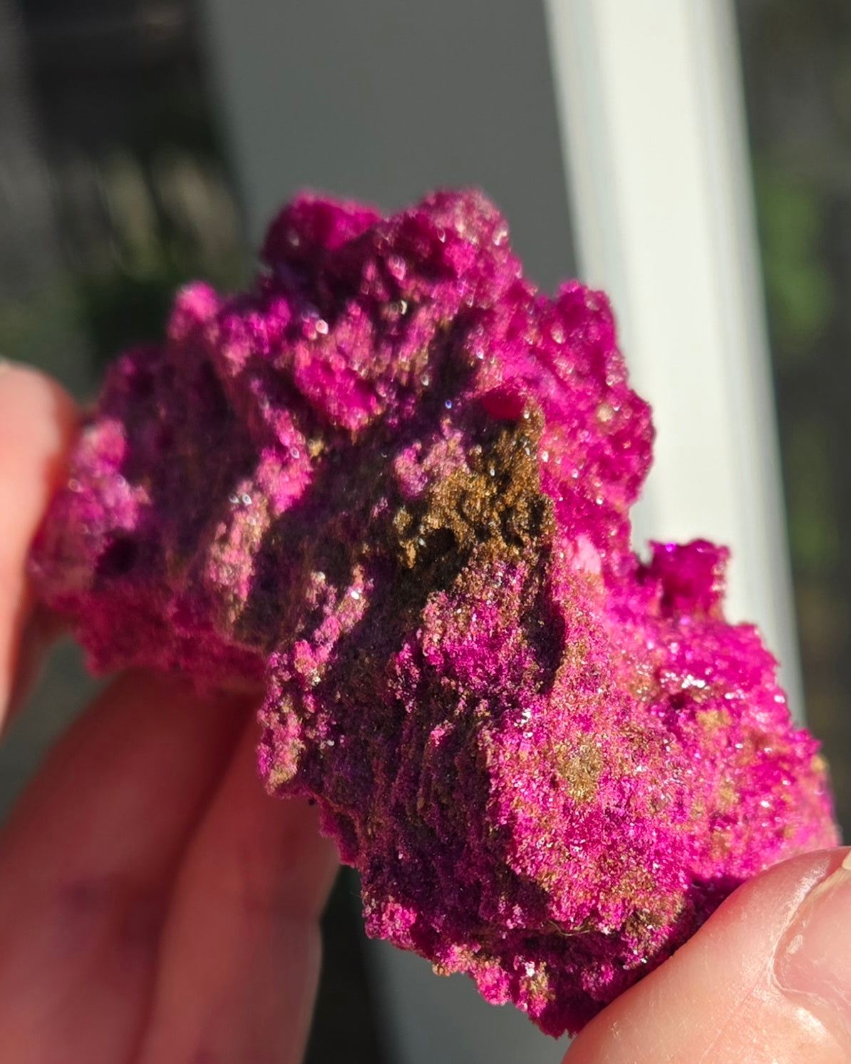 RUBY WITH EPIDOTE CLUSTER