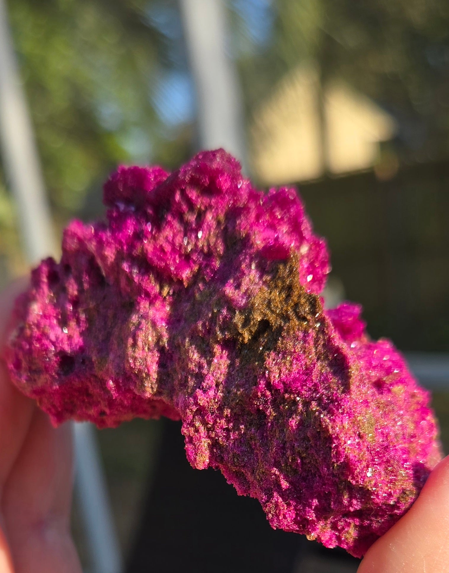 RUBY WITH EPIDOTE CLUSTER