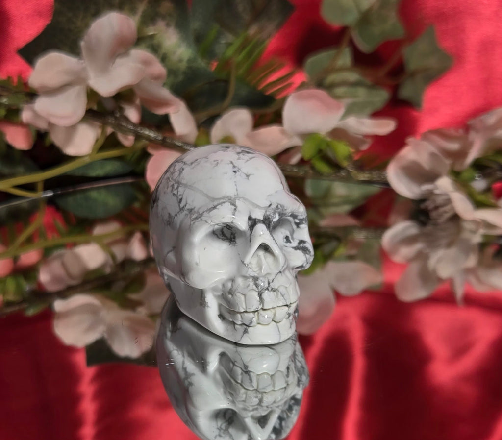 HOWLITE SKULL