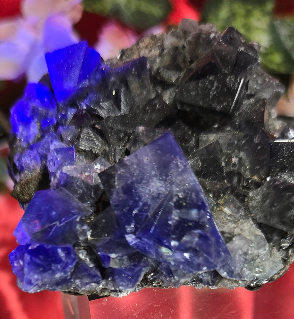FLUORITE