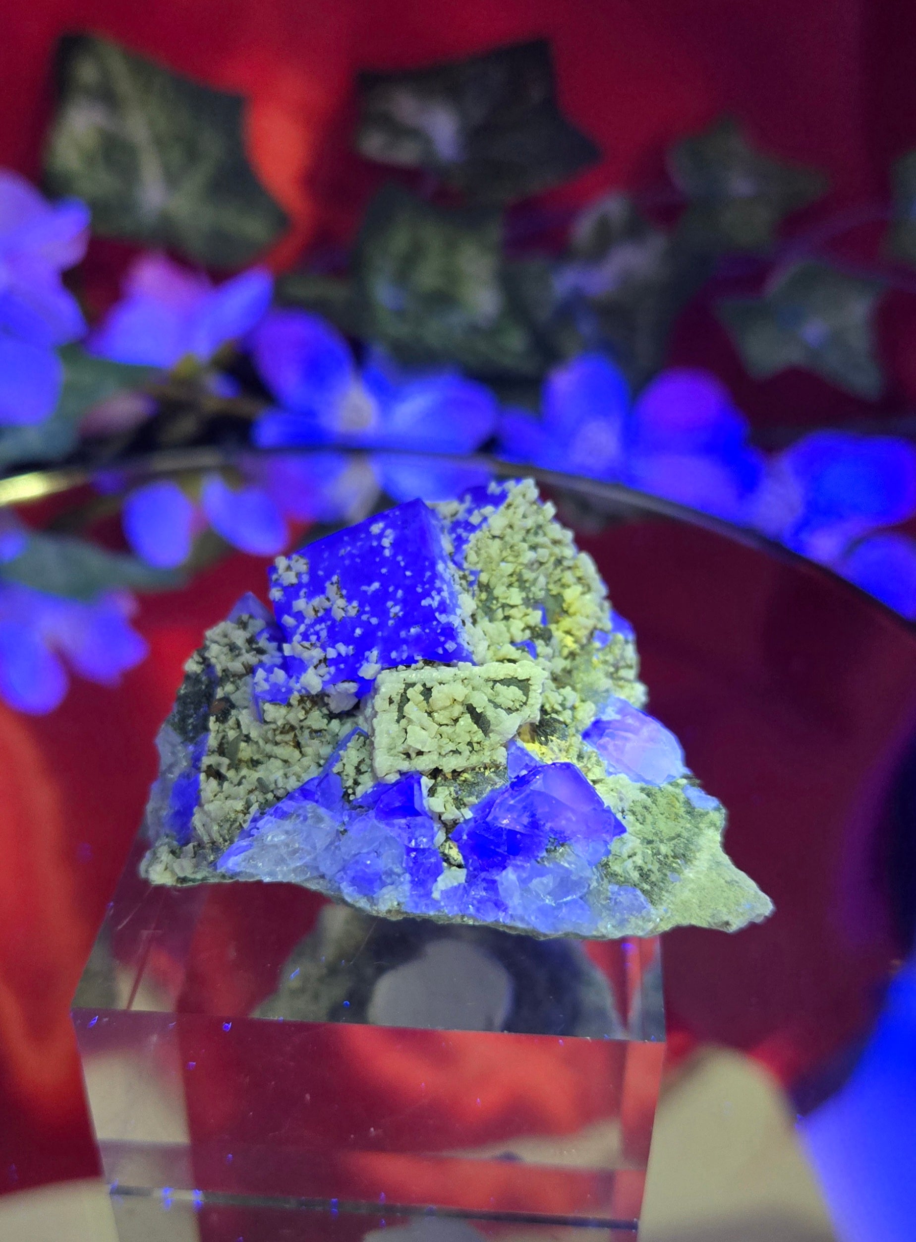 YGX FLUORITE
