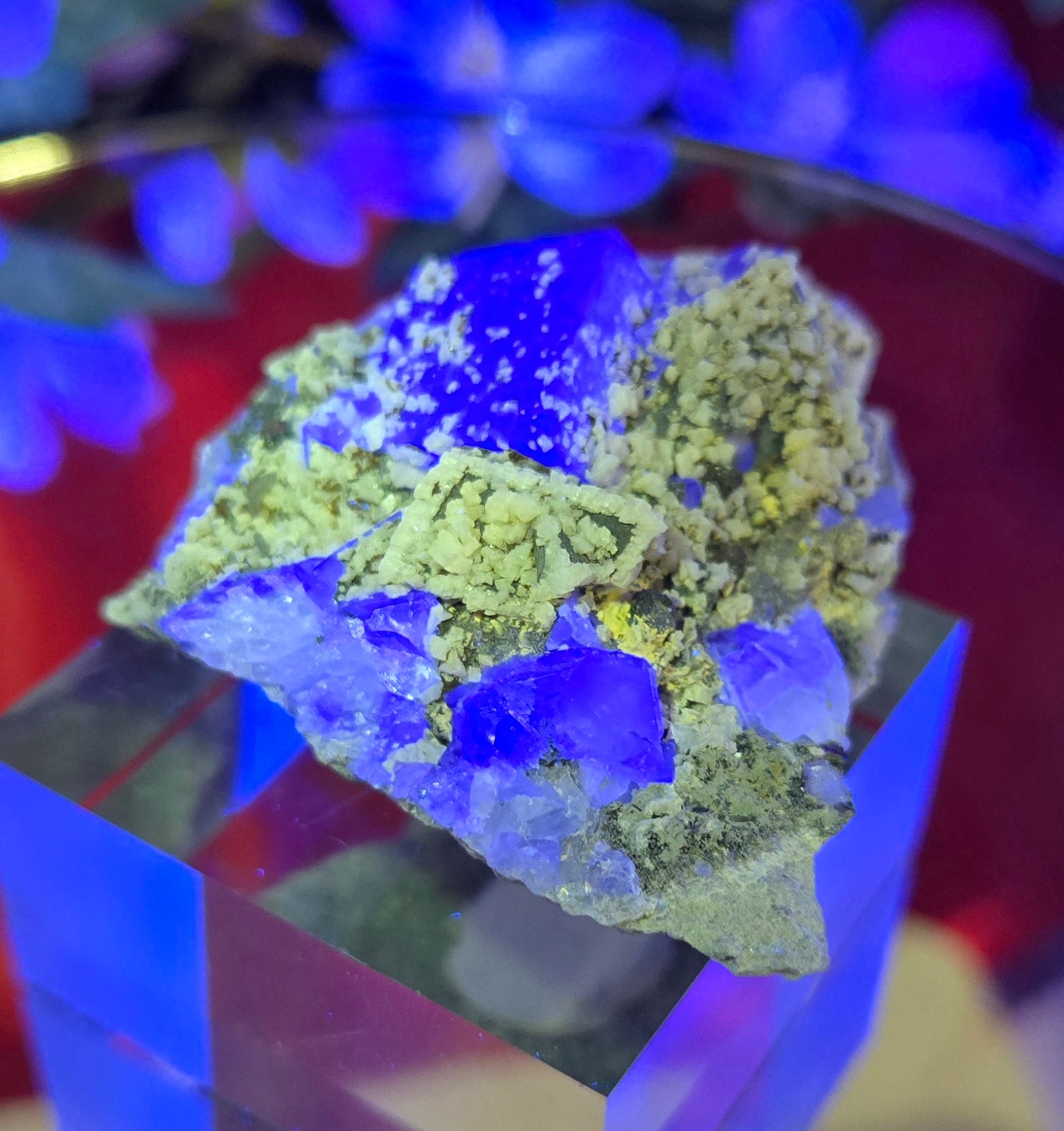 YGX FLUORITE