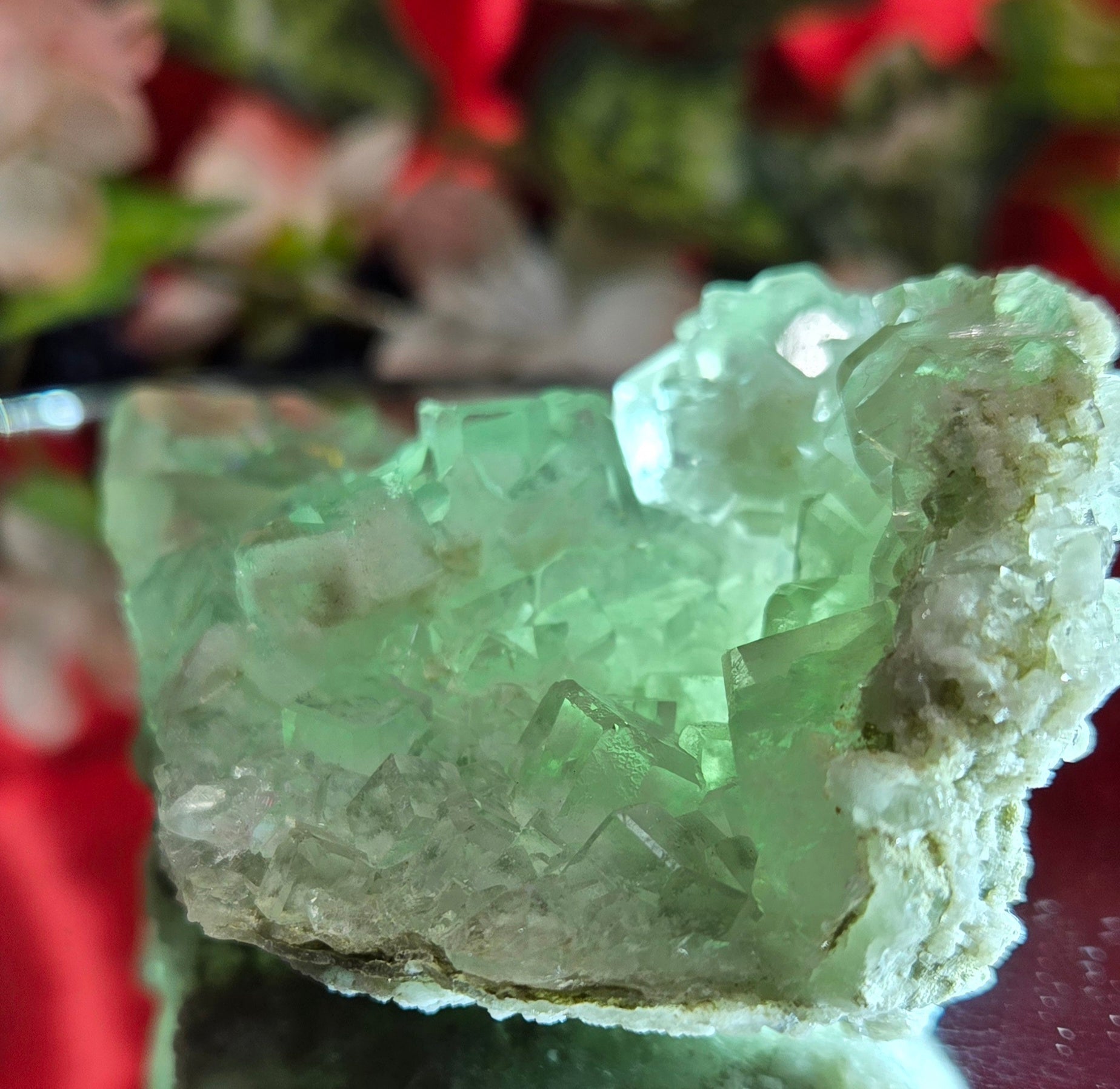 GLASS HXL FLUORITE