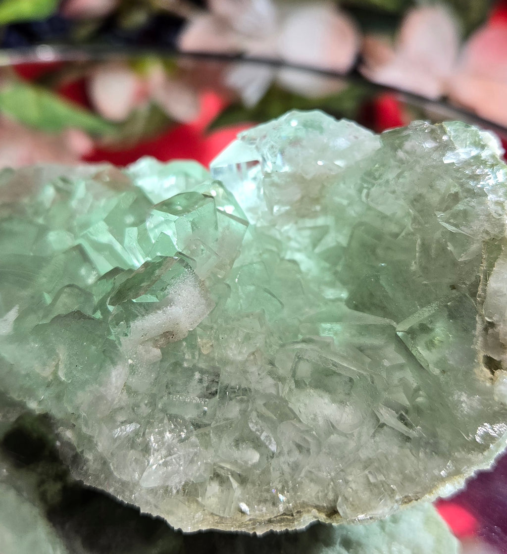 GLASS HXL FLUORITE