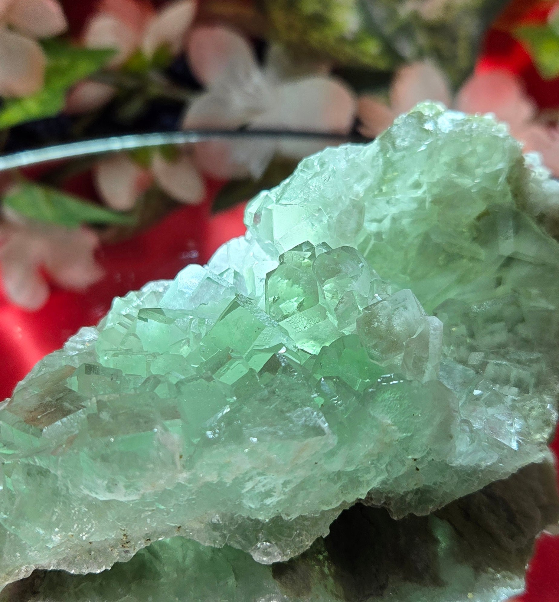 GLASS HXL FLUORITE