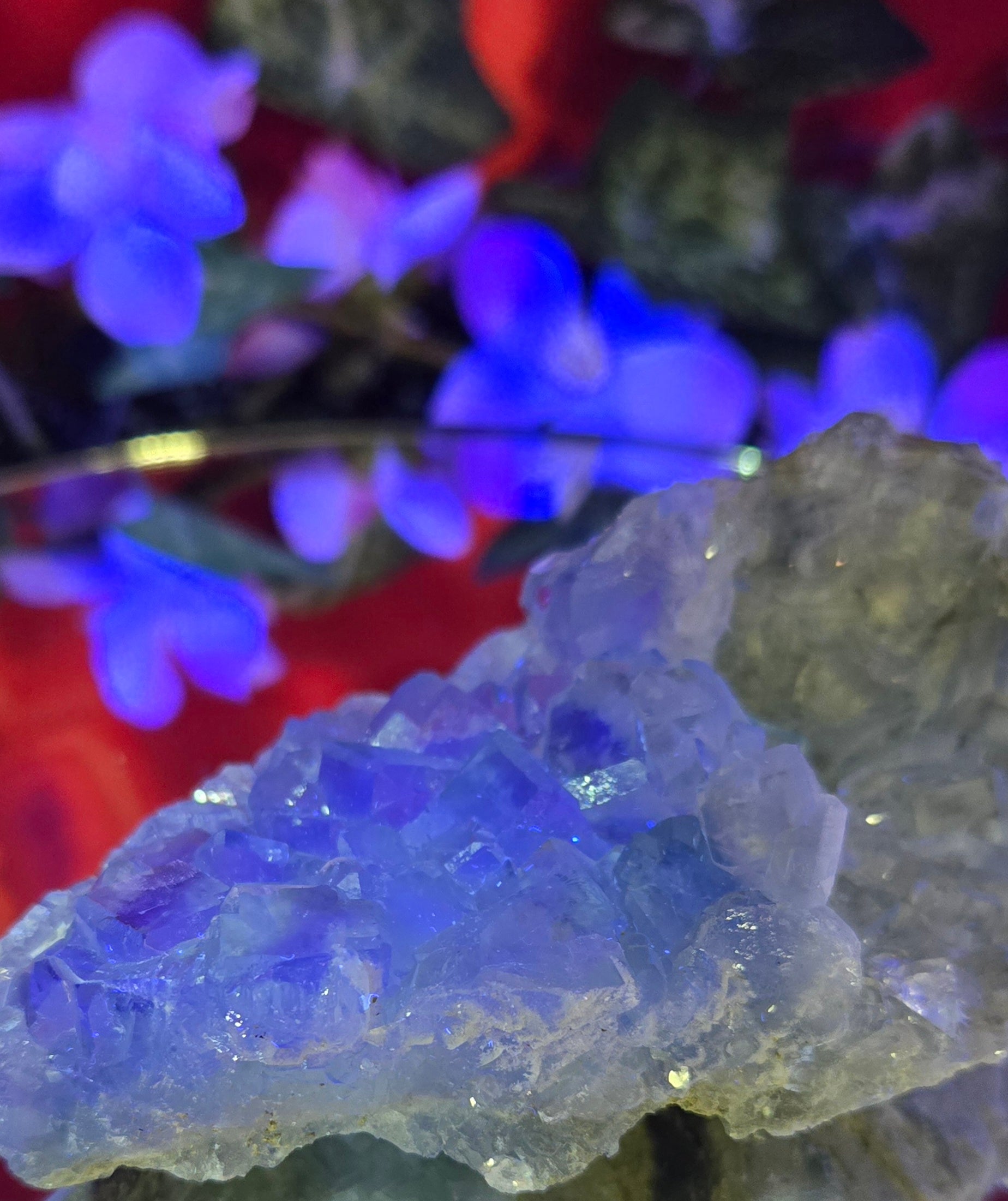 GLASS HXL FLUORITE