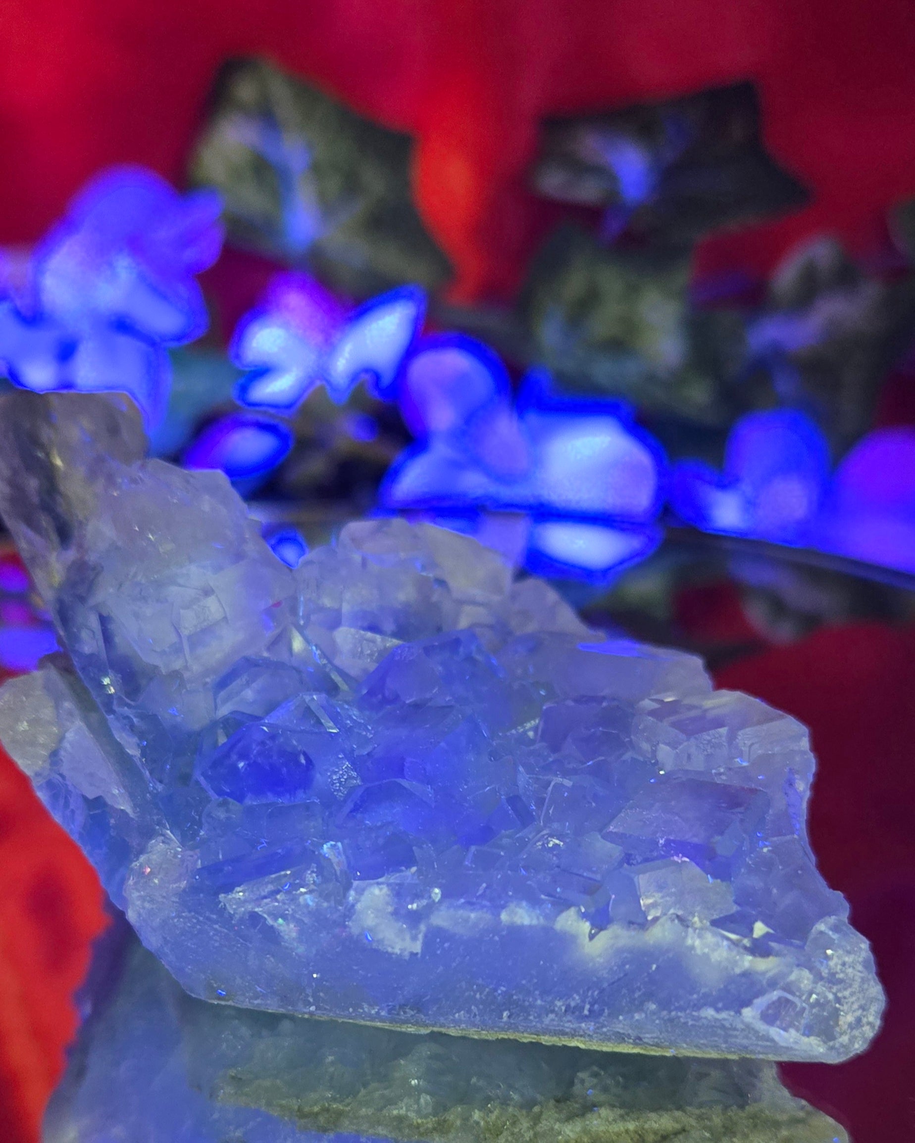 GLASS HXL FLUORITE