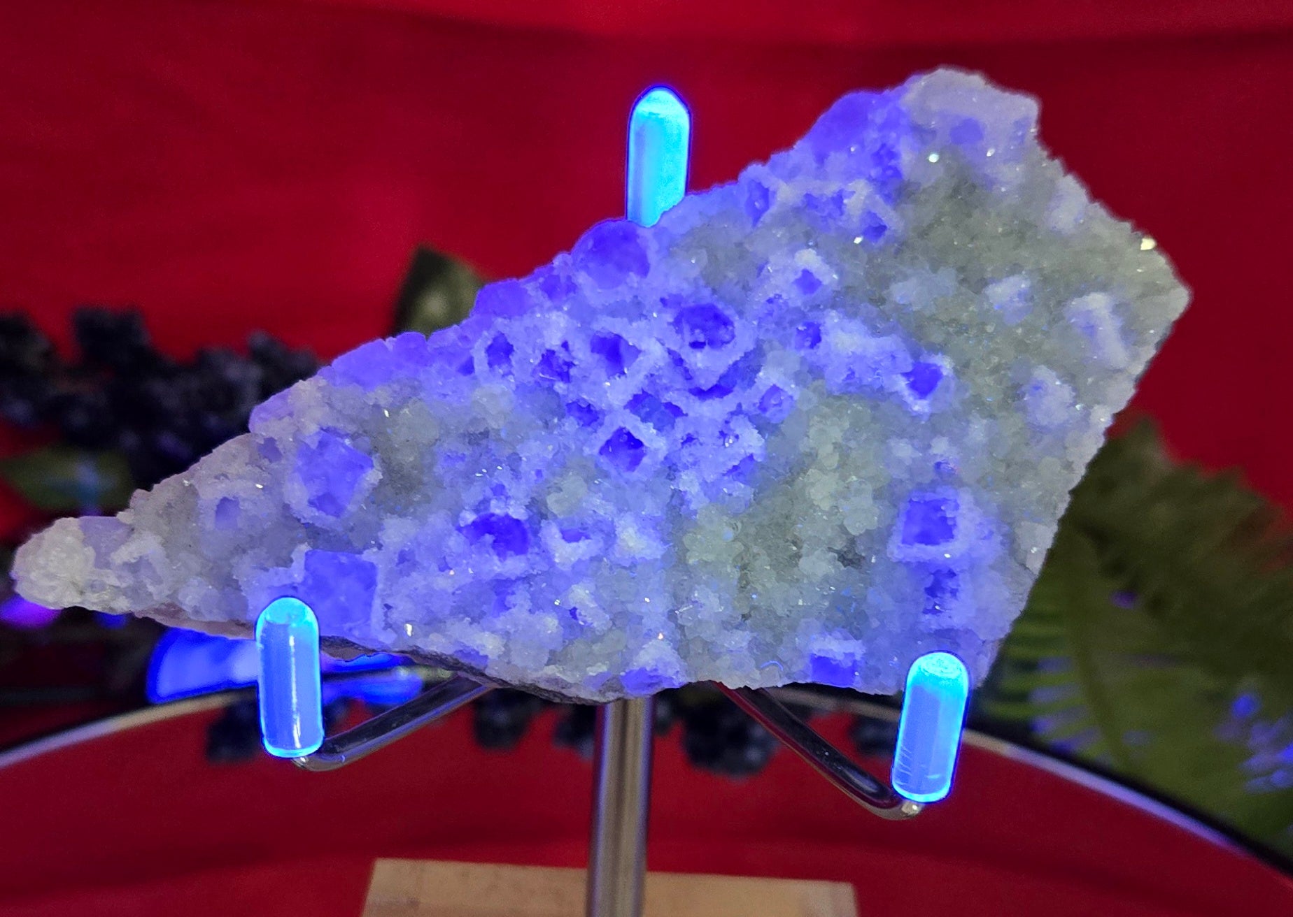 SUGAR FLUORITE