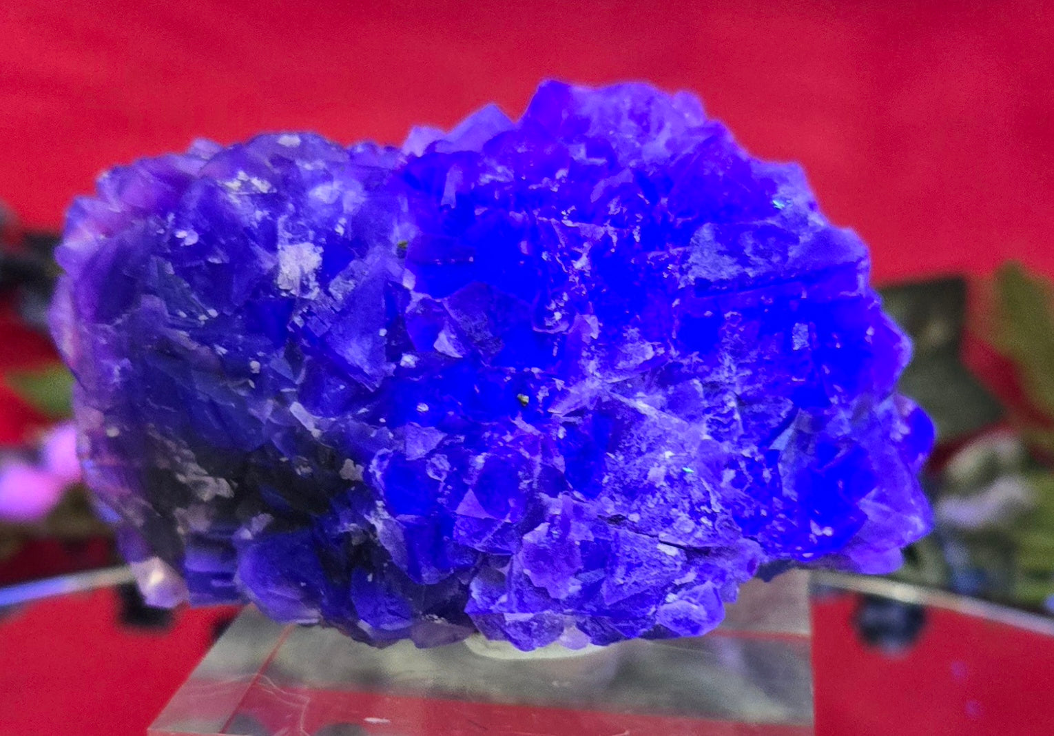 YGX FLUORITE