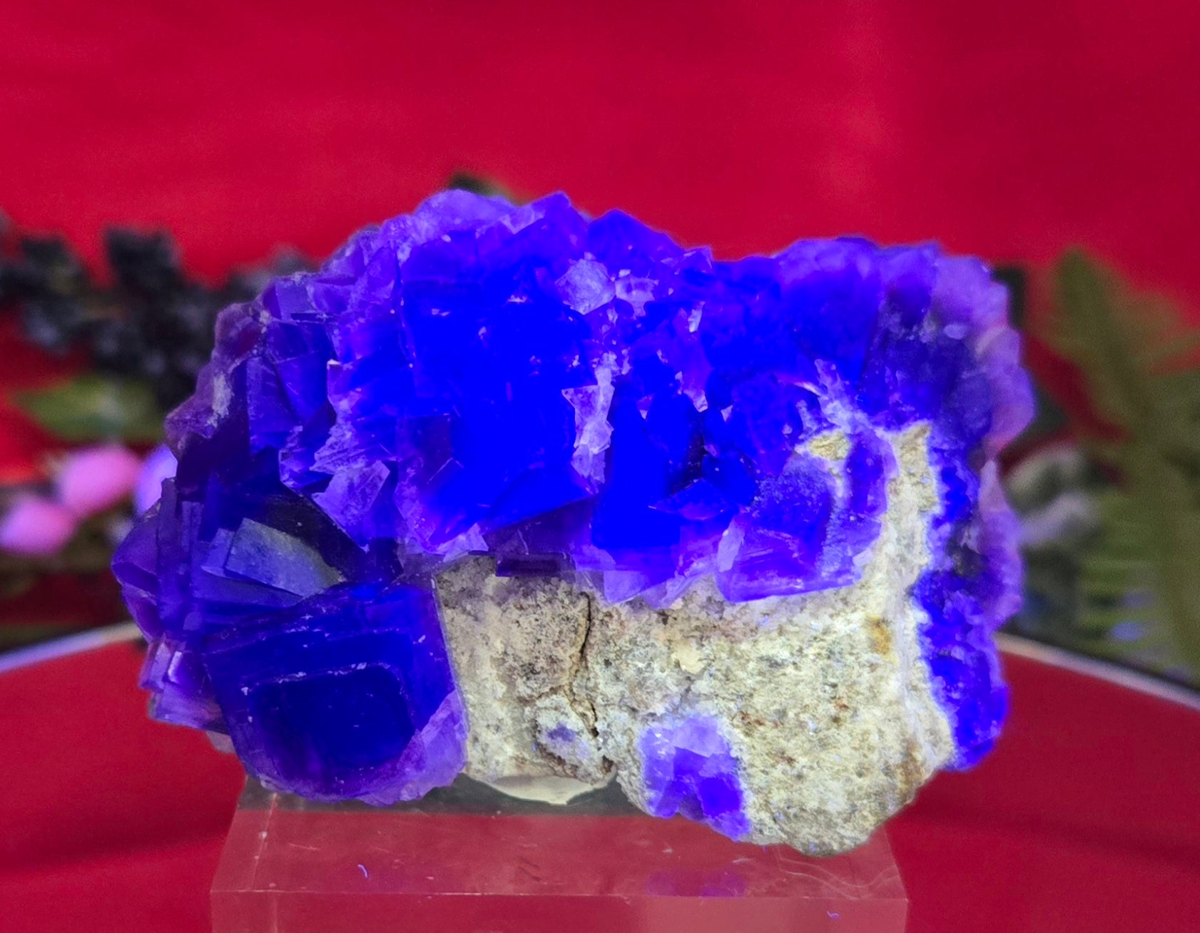 YGX FLUORITE