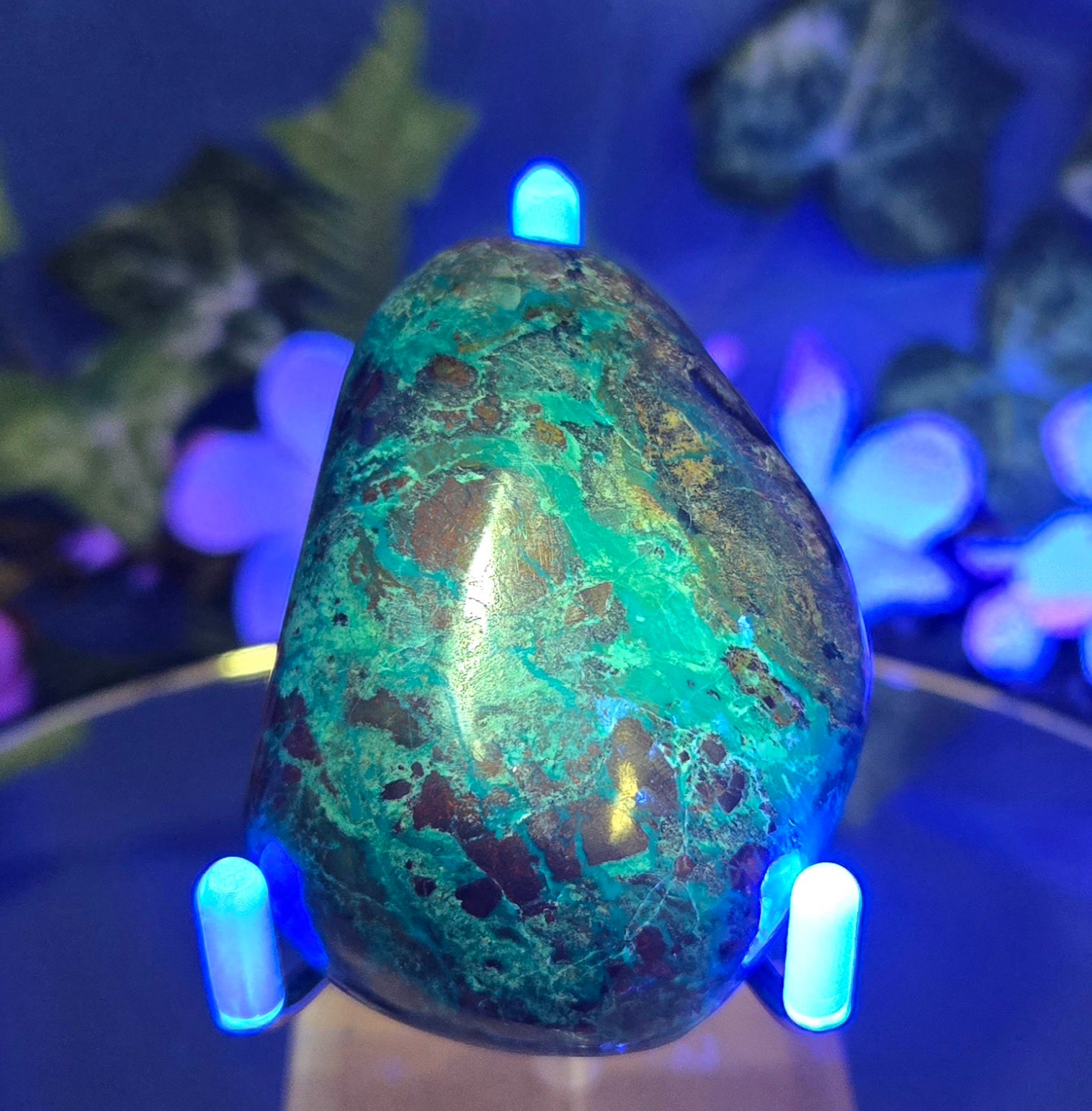 AZURITE CHRYSOCOLLA PALM STONE