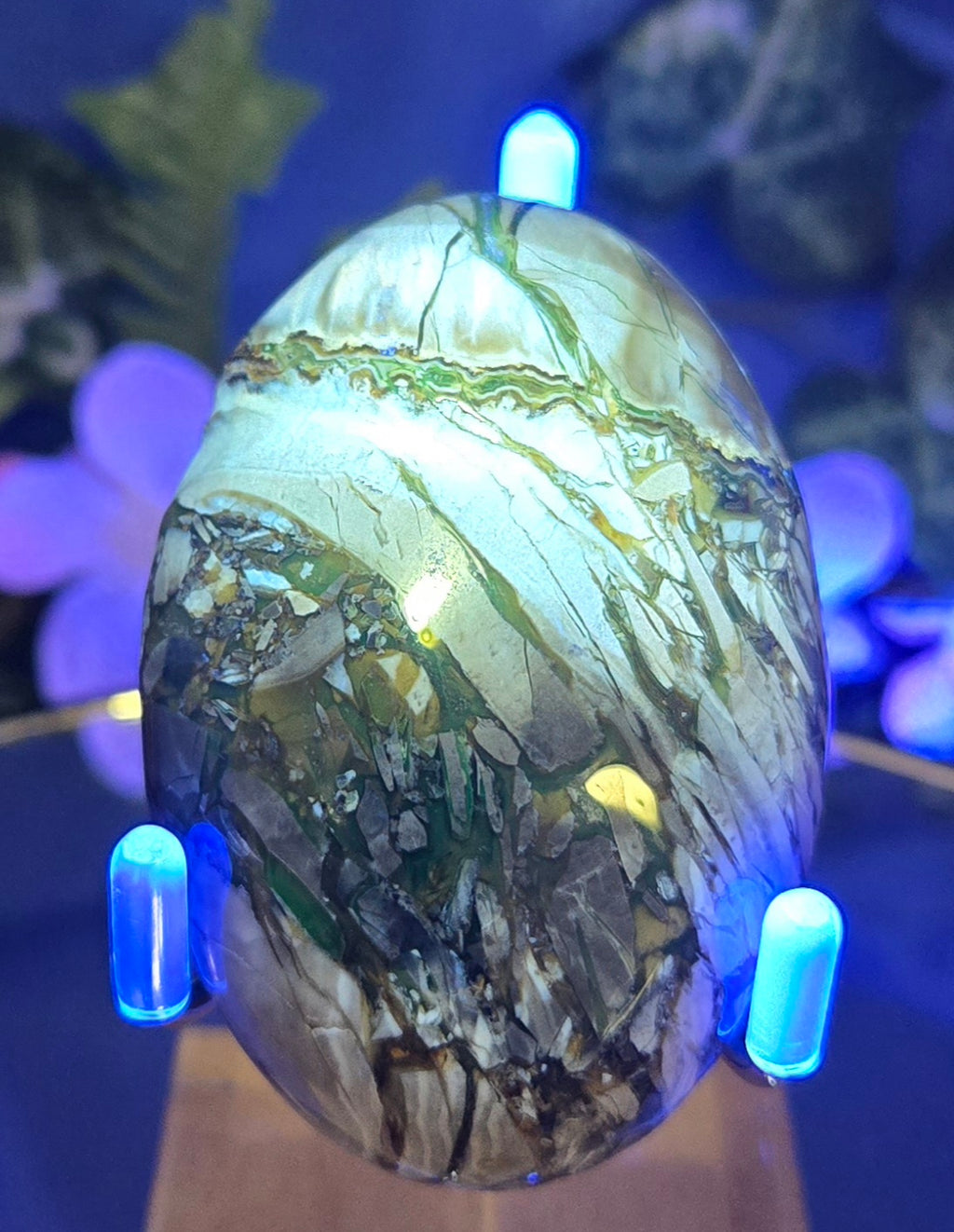 SEPTARIAN PALM STONE