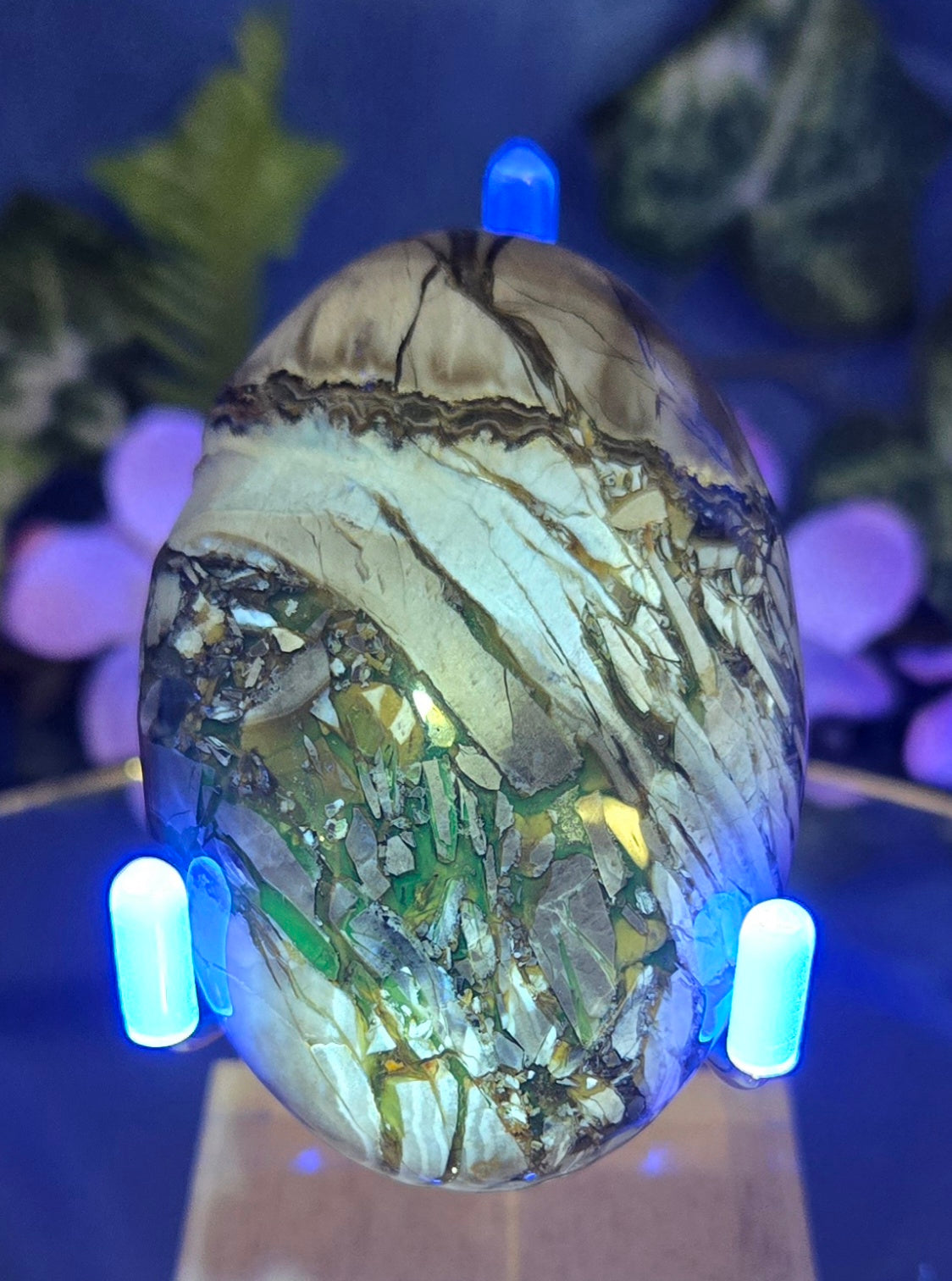 SEPTARIAN PALM STONE