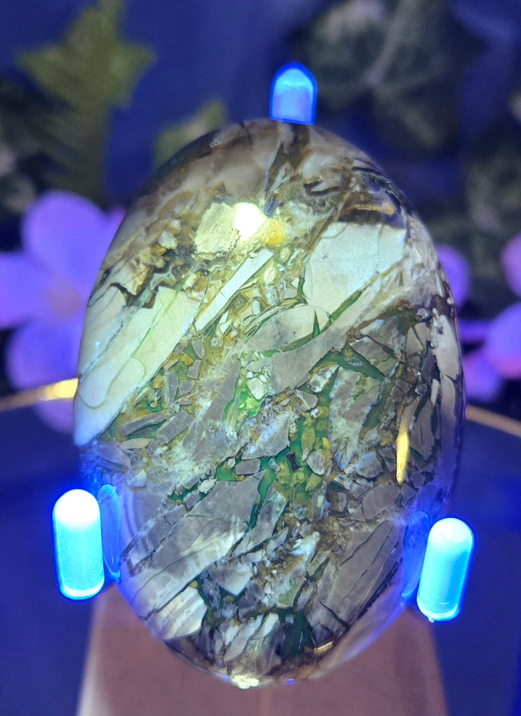 SEPTARIAN PALM STONE