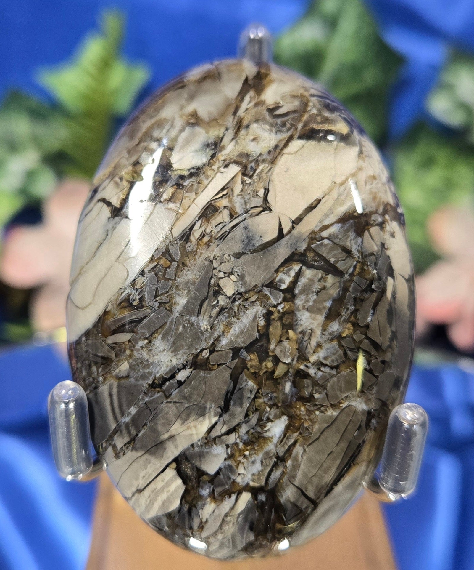 SEPTARIAN PALM STONE