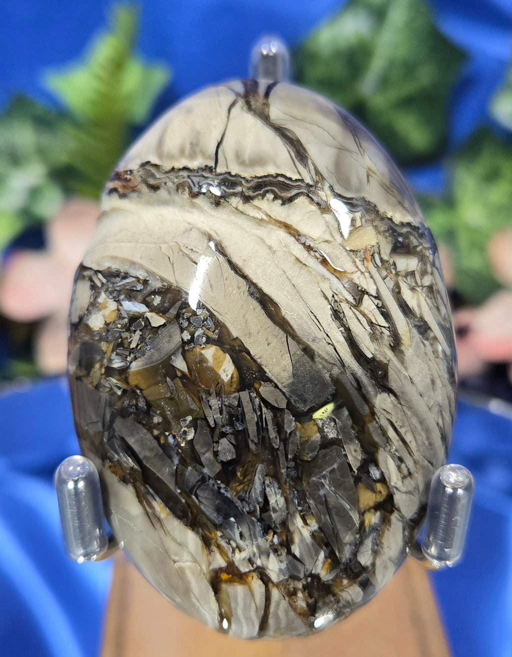 SEPTARIAN PALM STONE