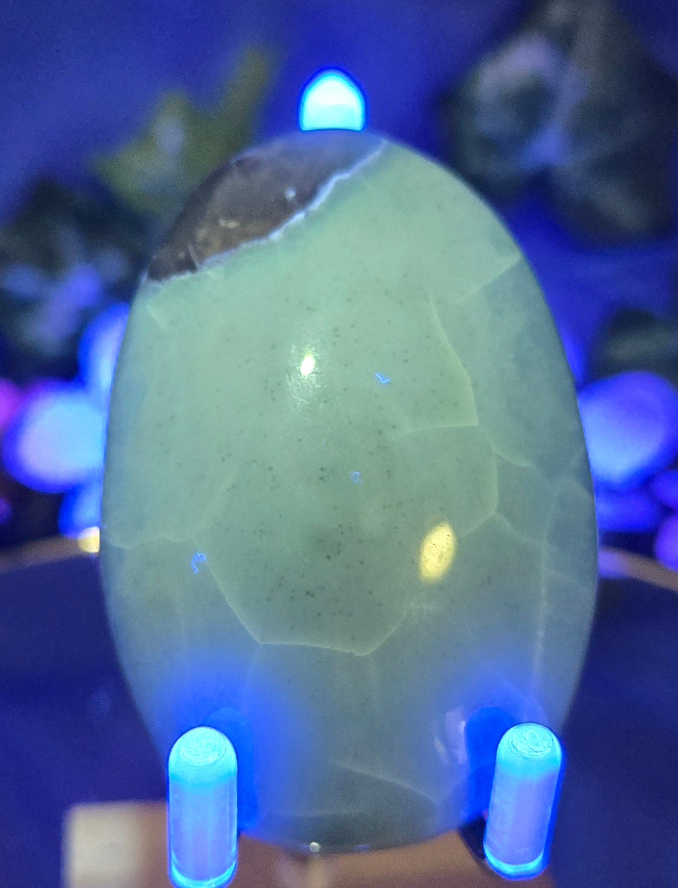 GREEN OPAL PALM STONE