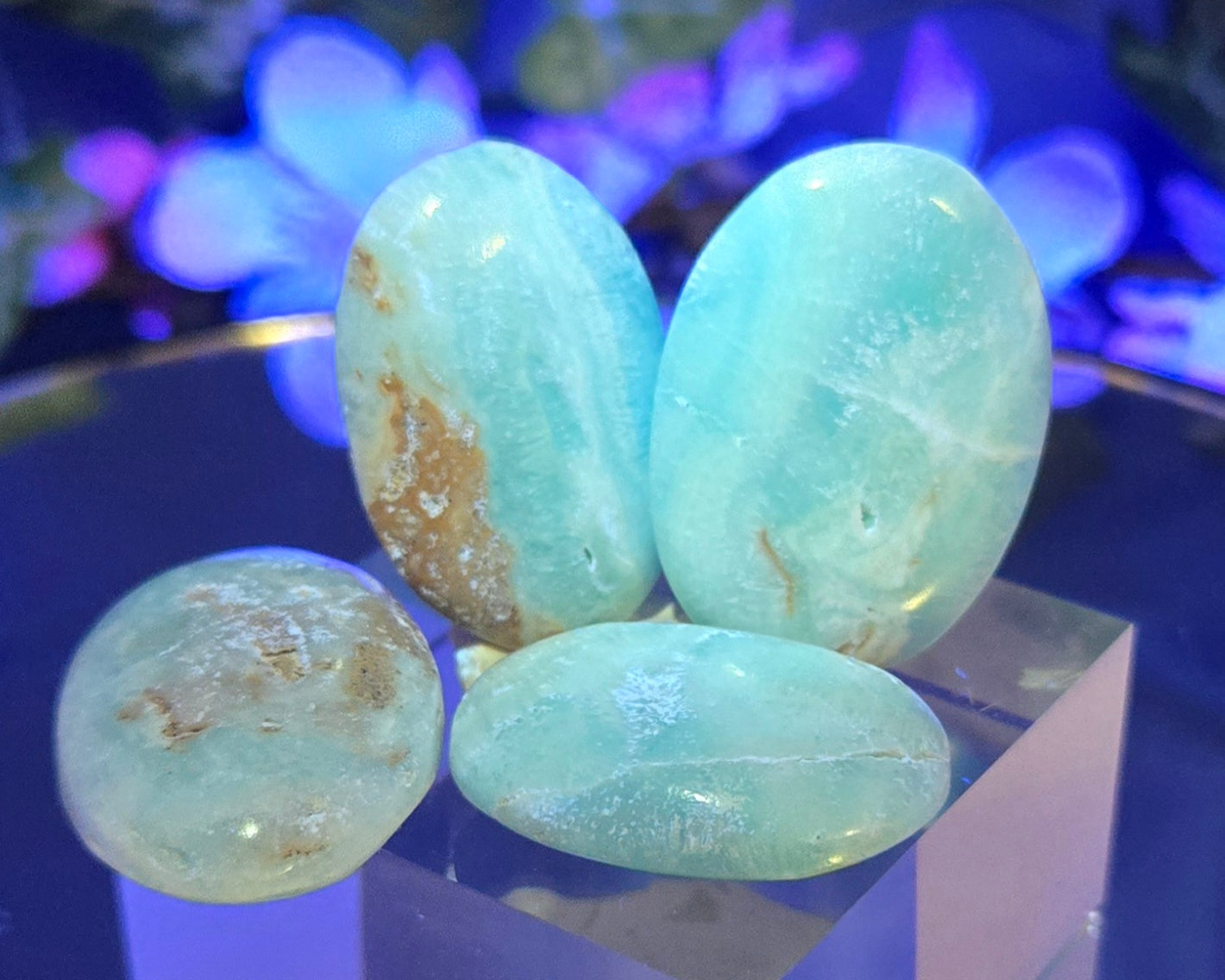 CARIBBEAN CALCITE PALM STONE