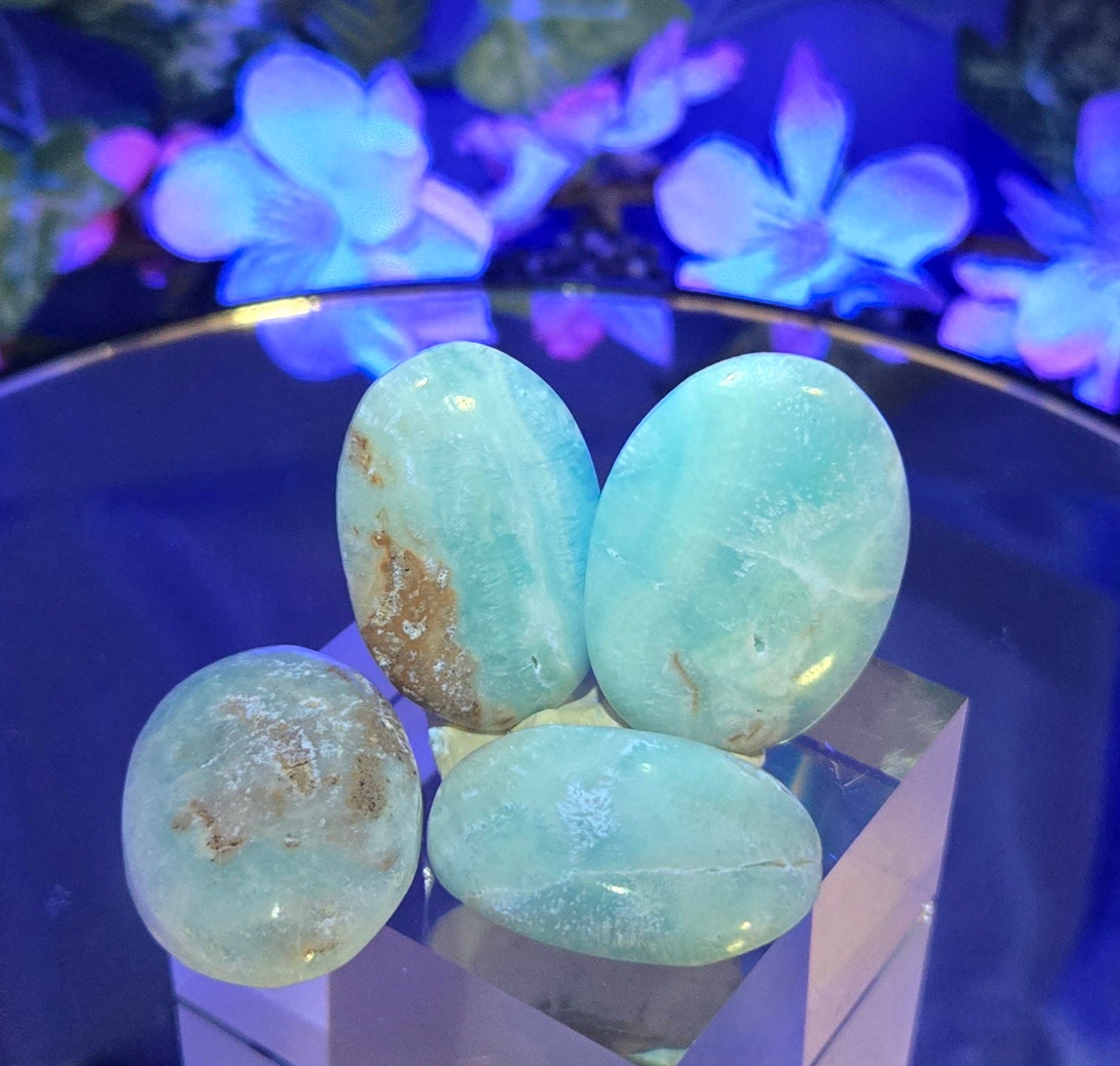 CARIBBEAN CALCITE PALM STONE