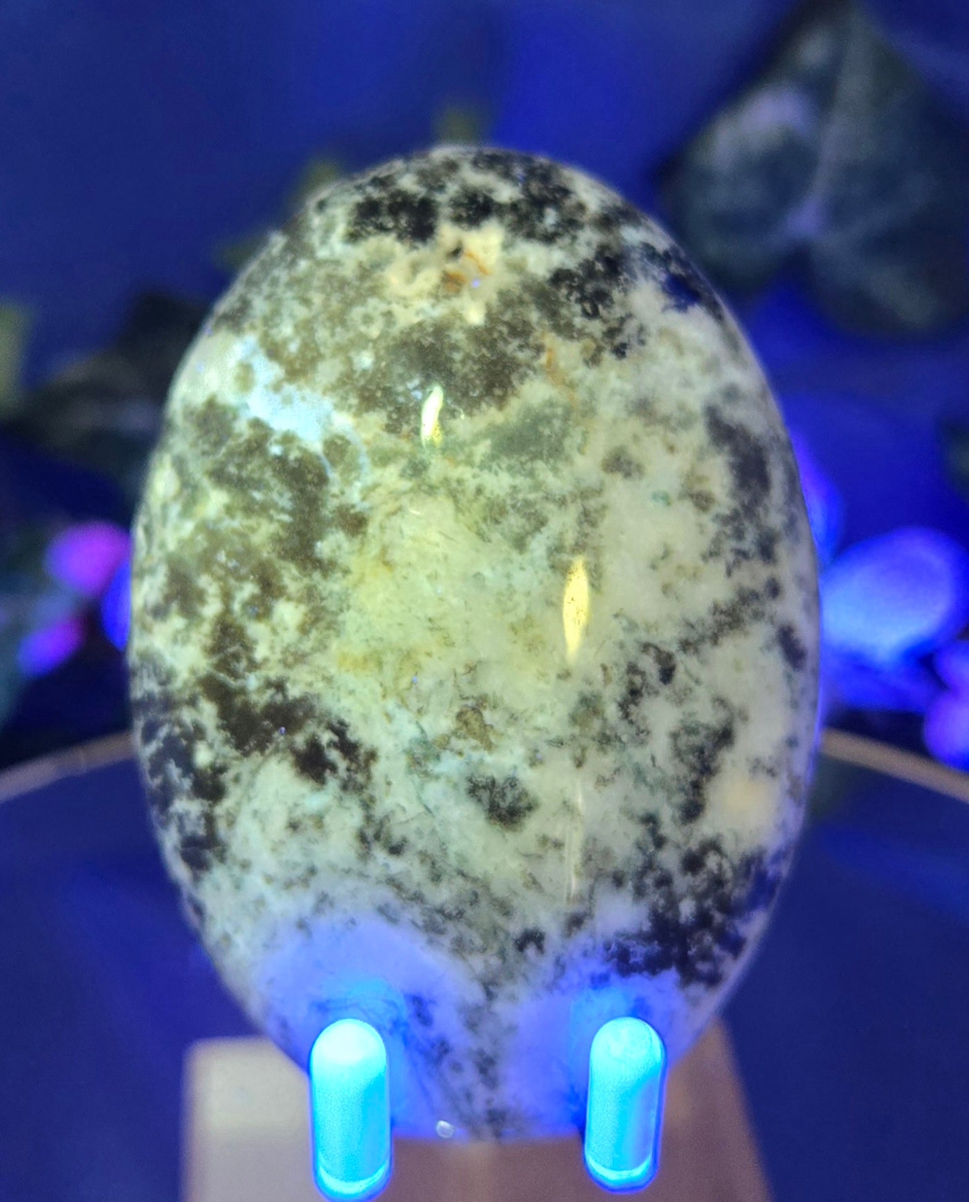 MOSS AGATE JASPER PALM STONE