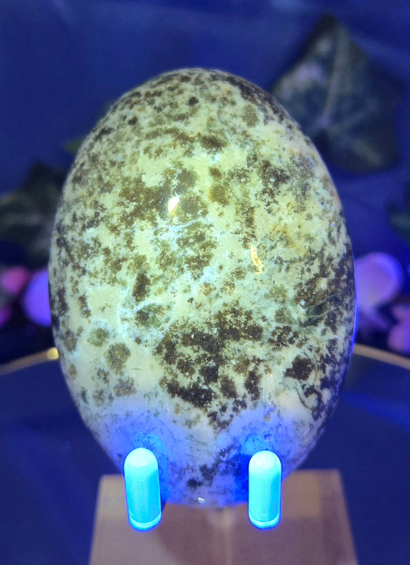 MOSS AGATE JASPER PALM STONE