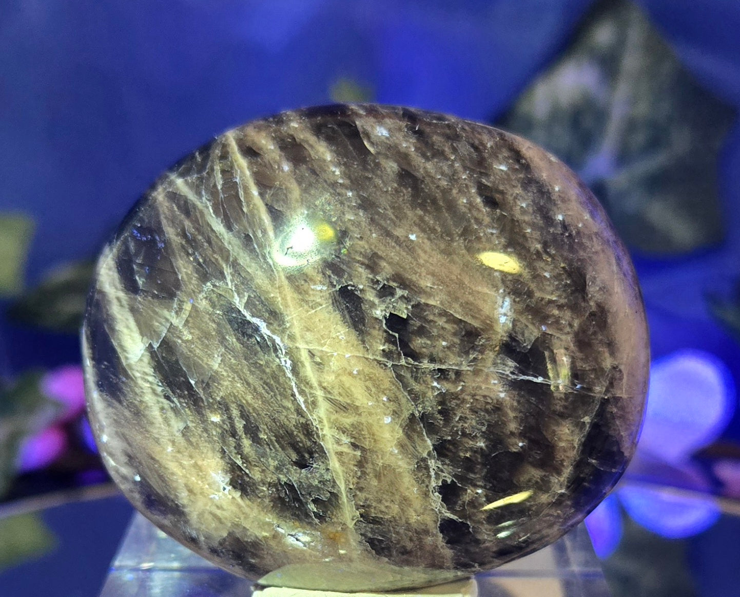 MOONSTONE PALMSTONE