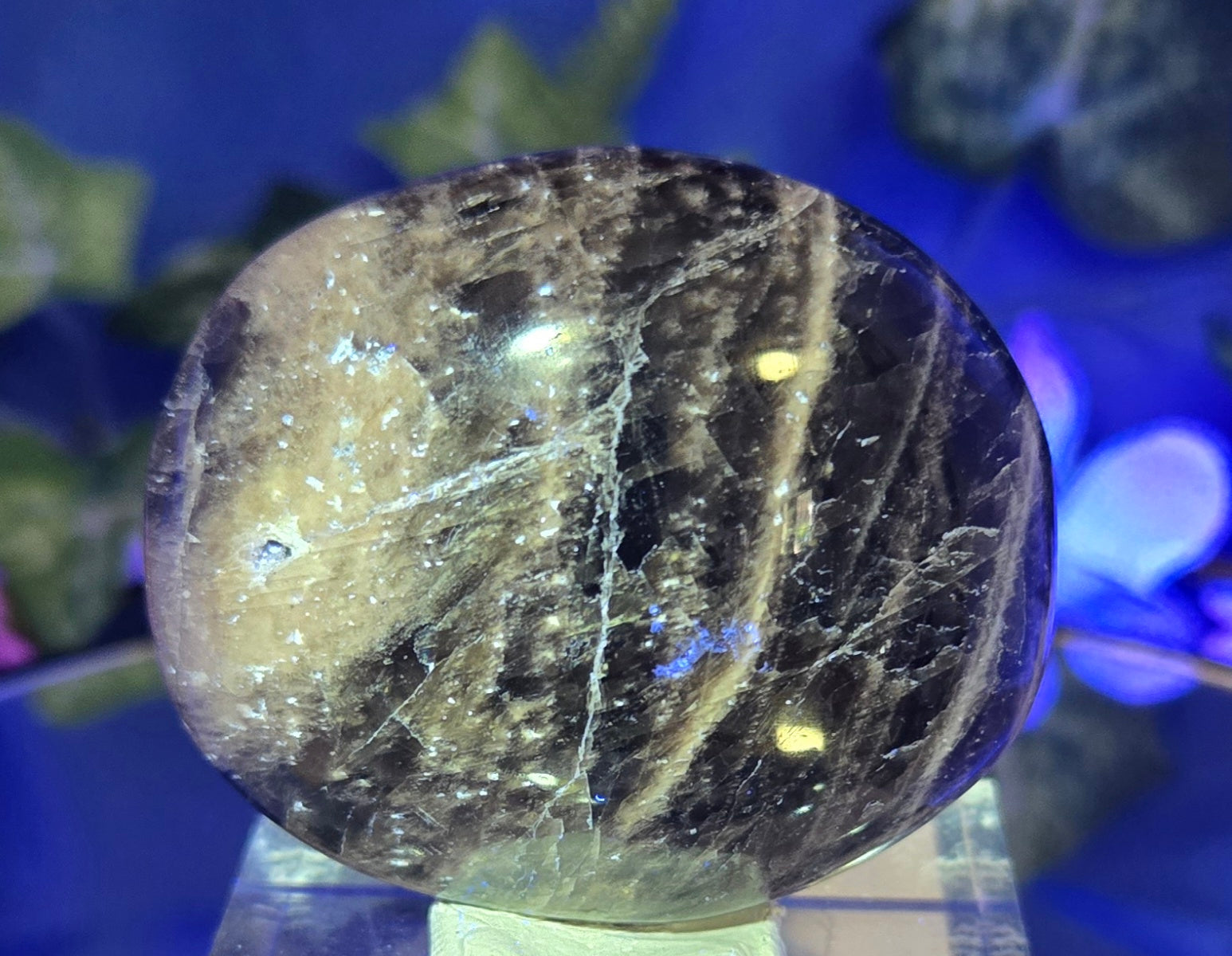MOONSTONE PALMSTONE