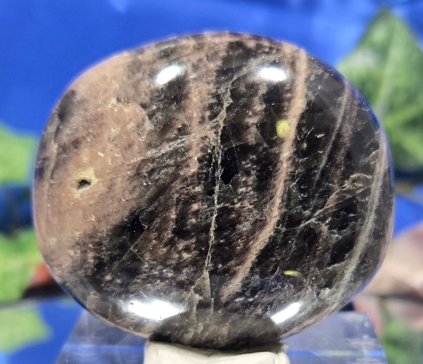 MOONSTONE PALMSTONE