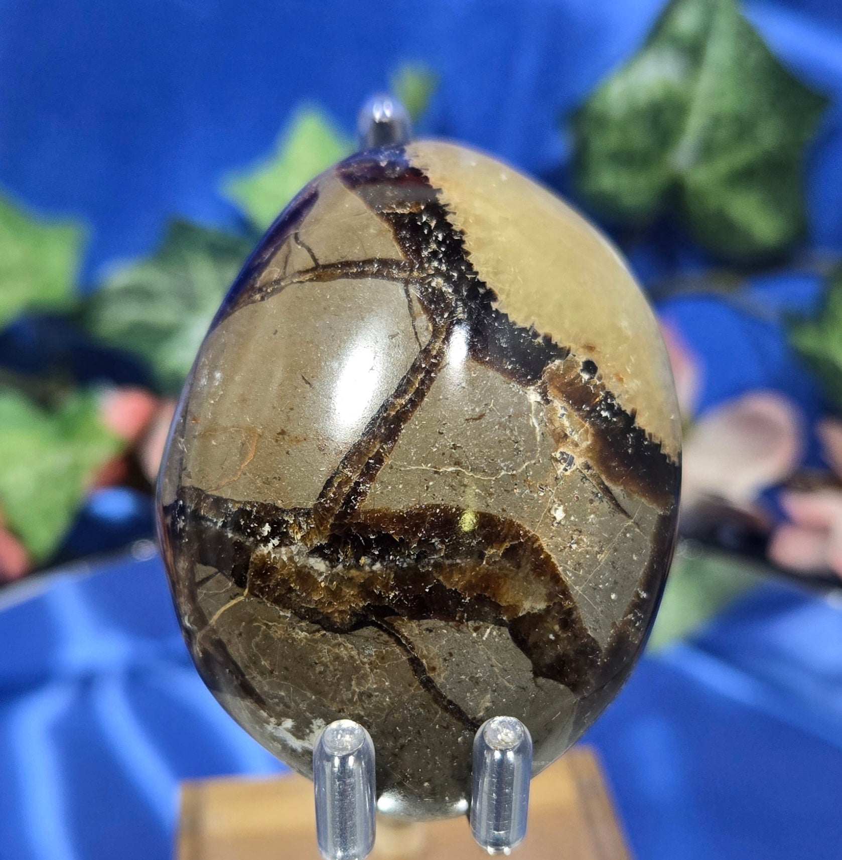 SEPTARIAN PALM STONE