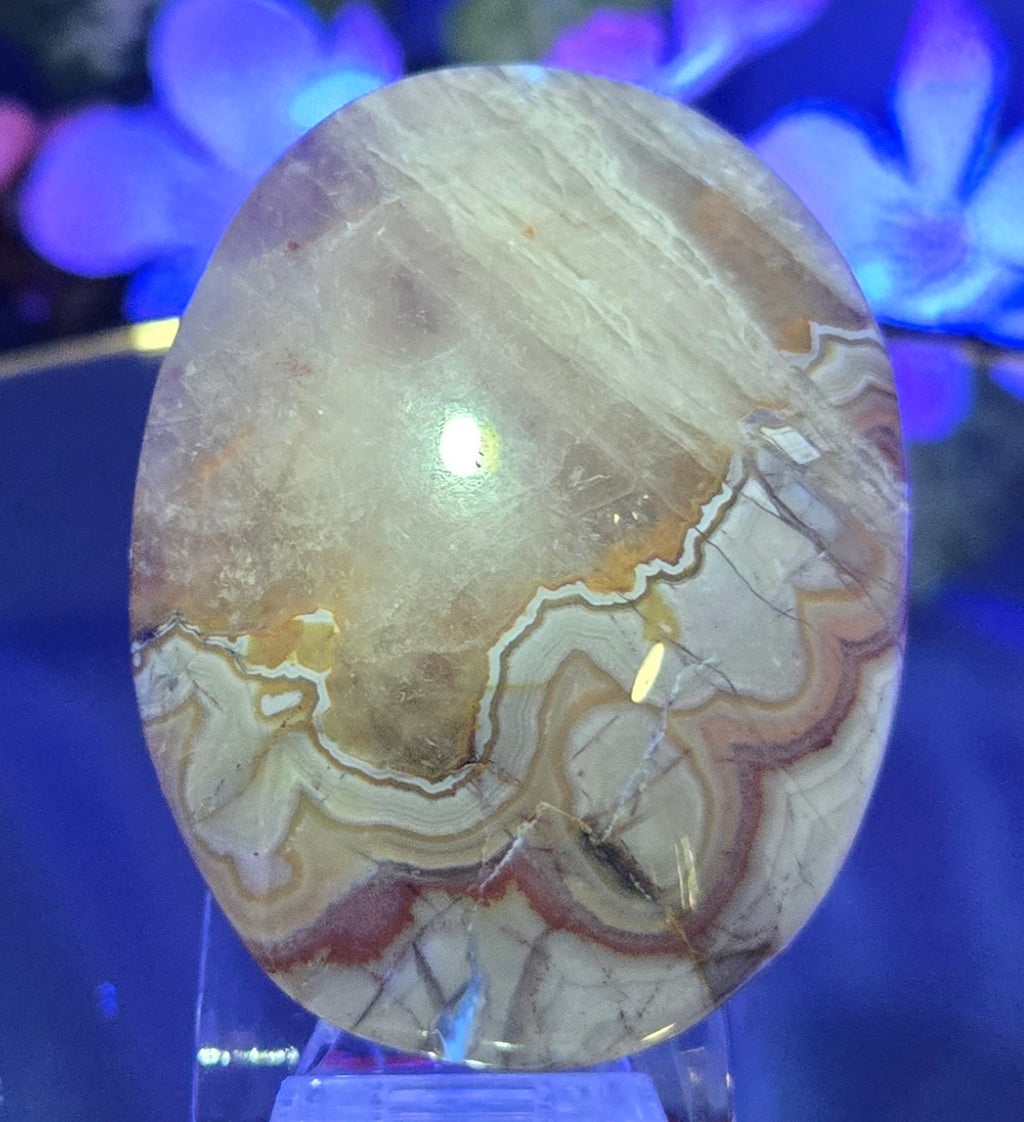 MEXICAN CRAZYLACE PALMSTONE