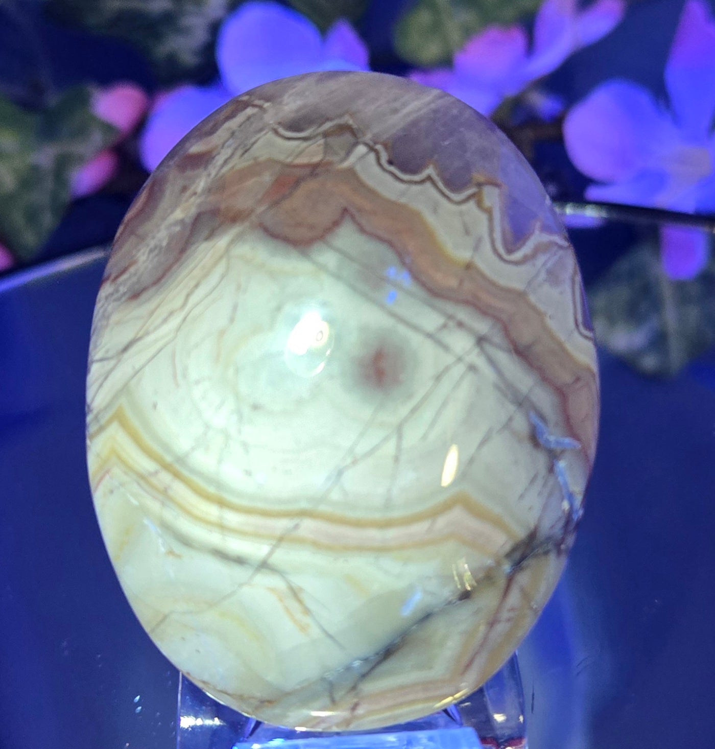 MEXICAN CRAZYLACE PALMSTONE