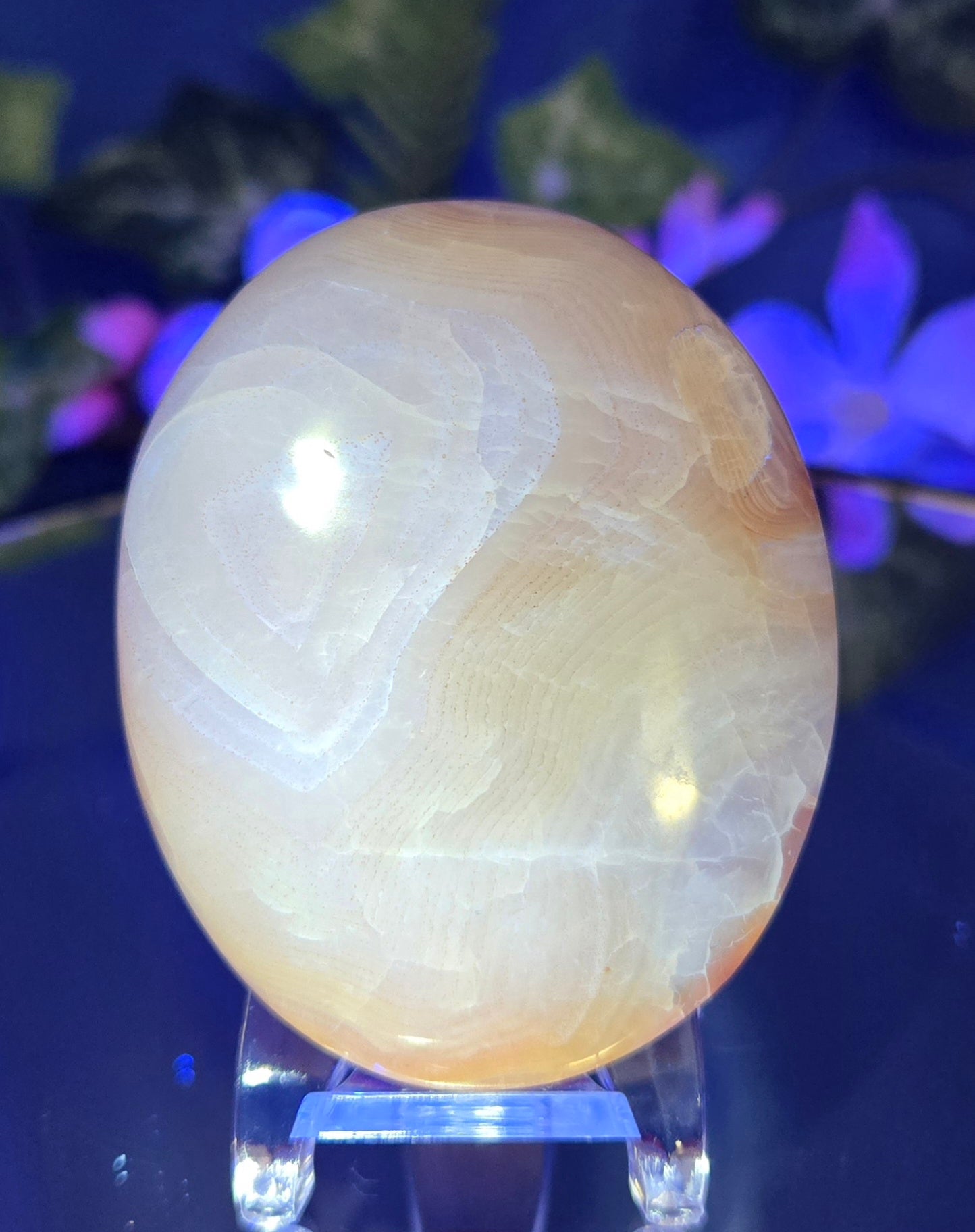 CARNELIAN PALM STONE