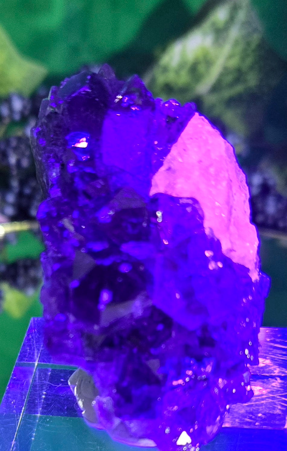 AMETHYST CLUSTER