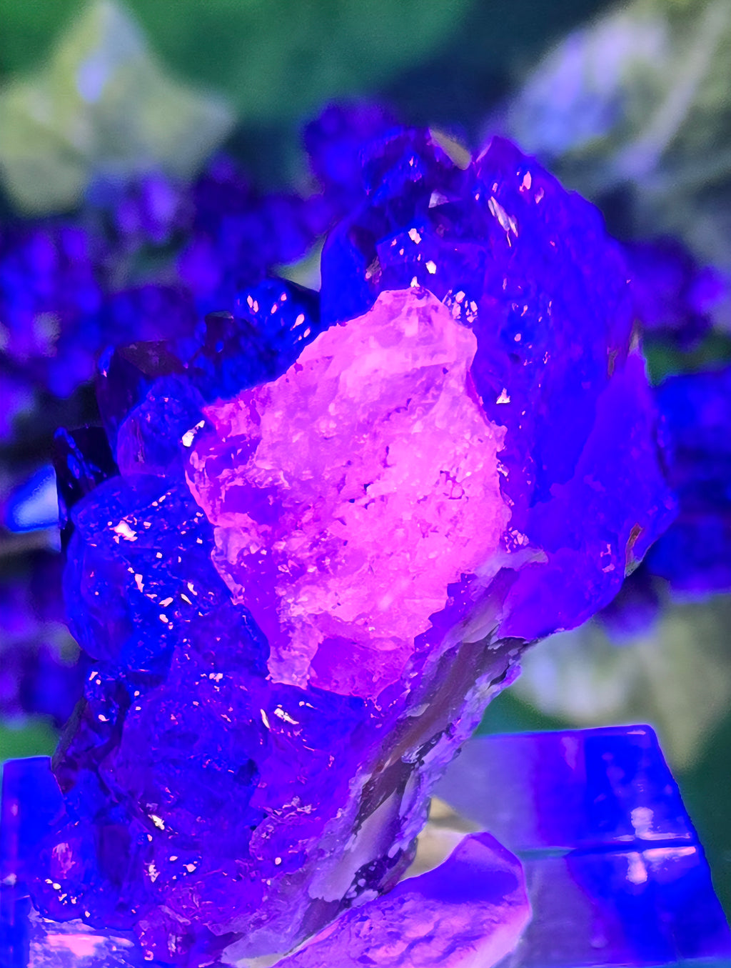AMETHYST CLUSTER