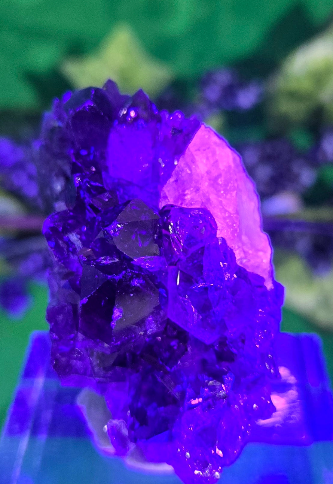 AMETHYST CLUSTER