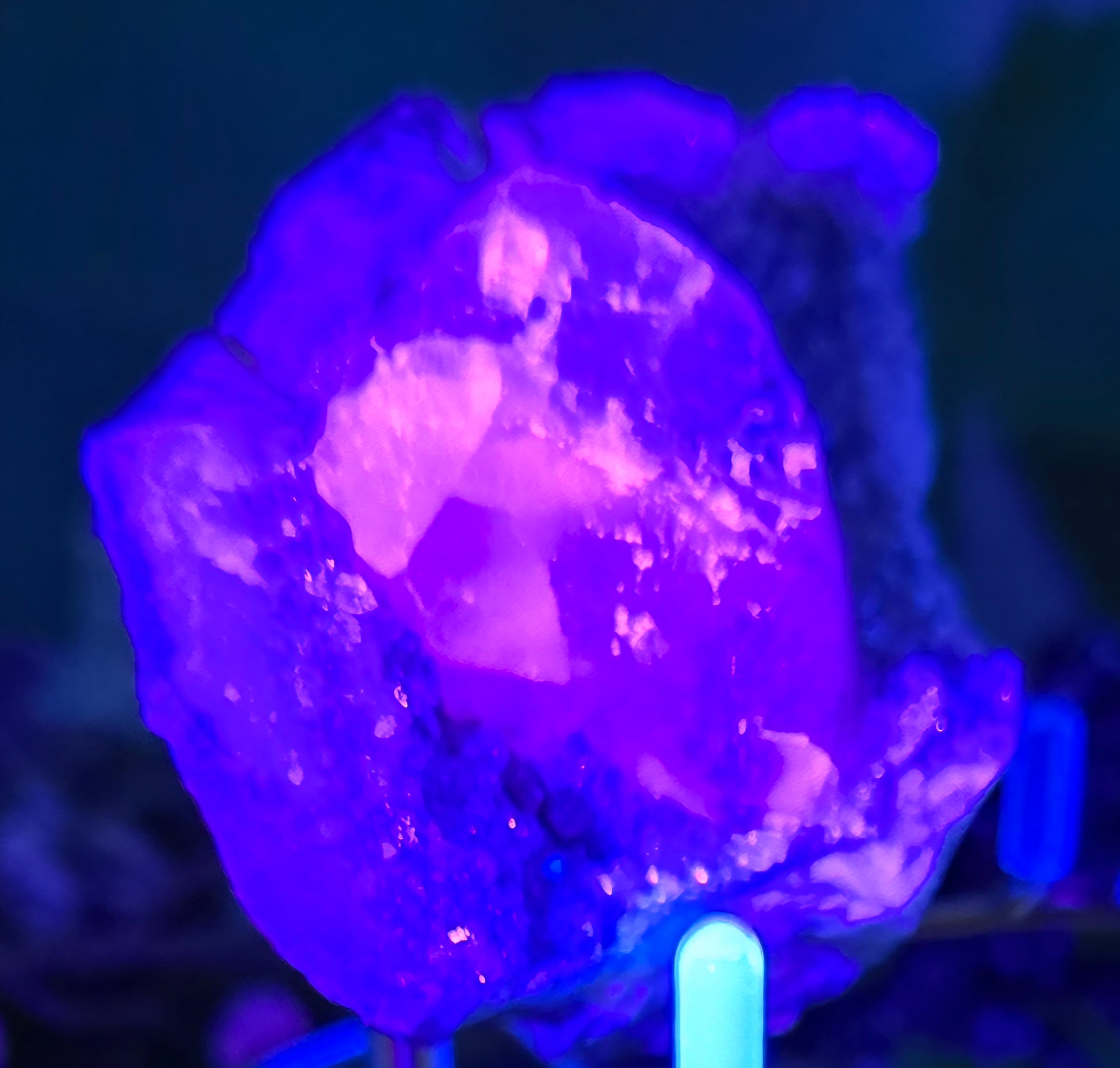 AMETHYST CLUSTER