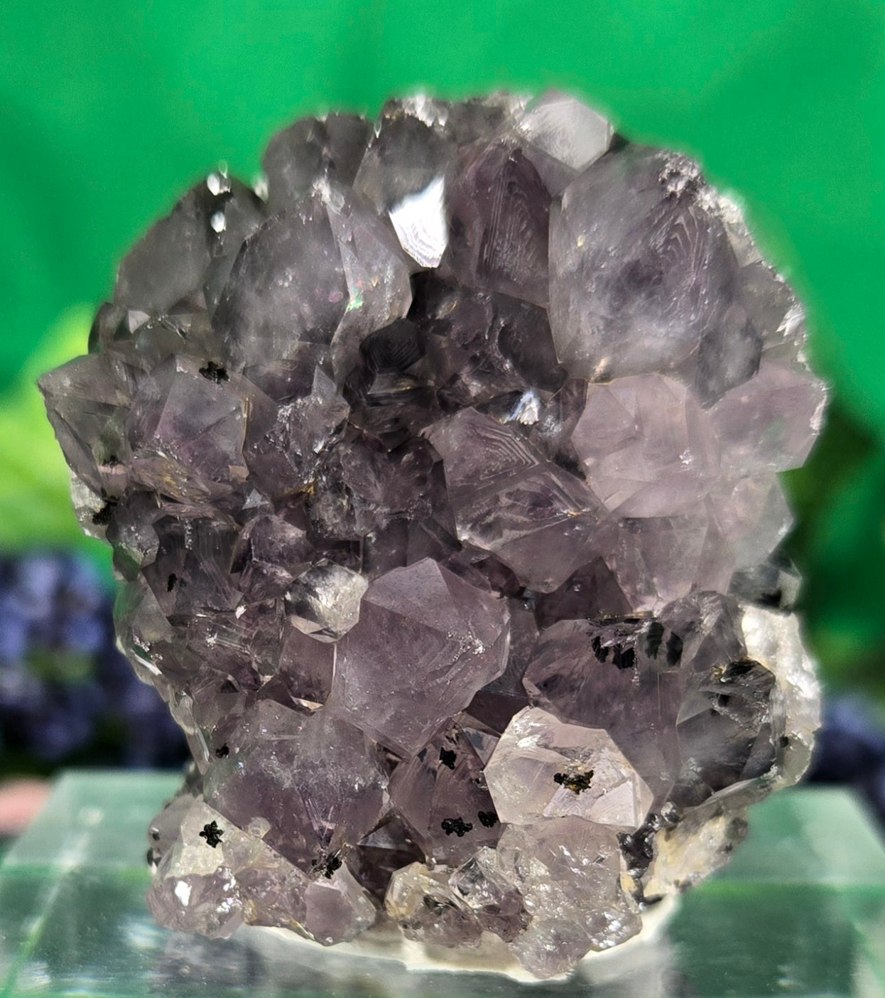 AMETHYST CLUSTER