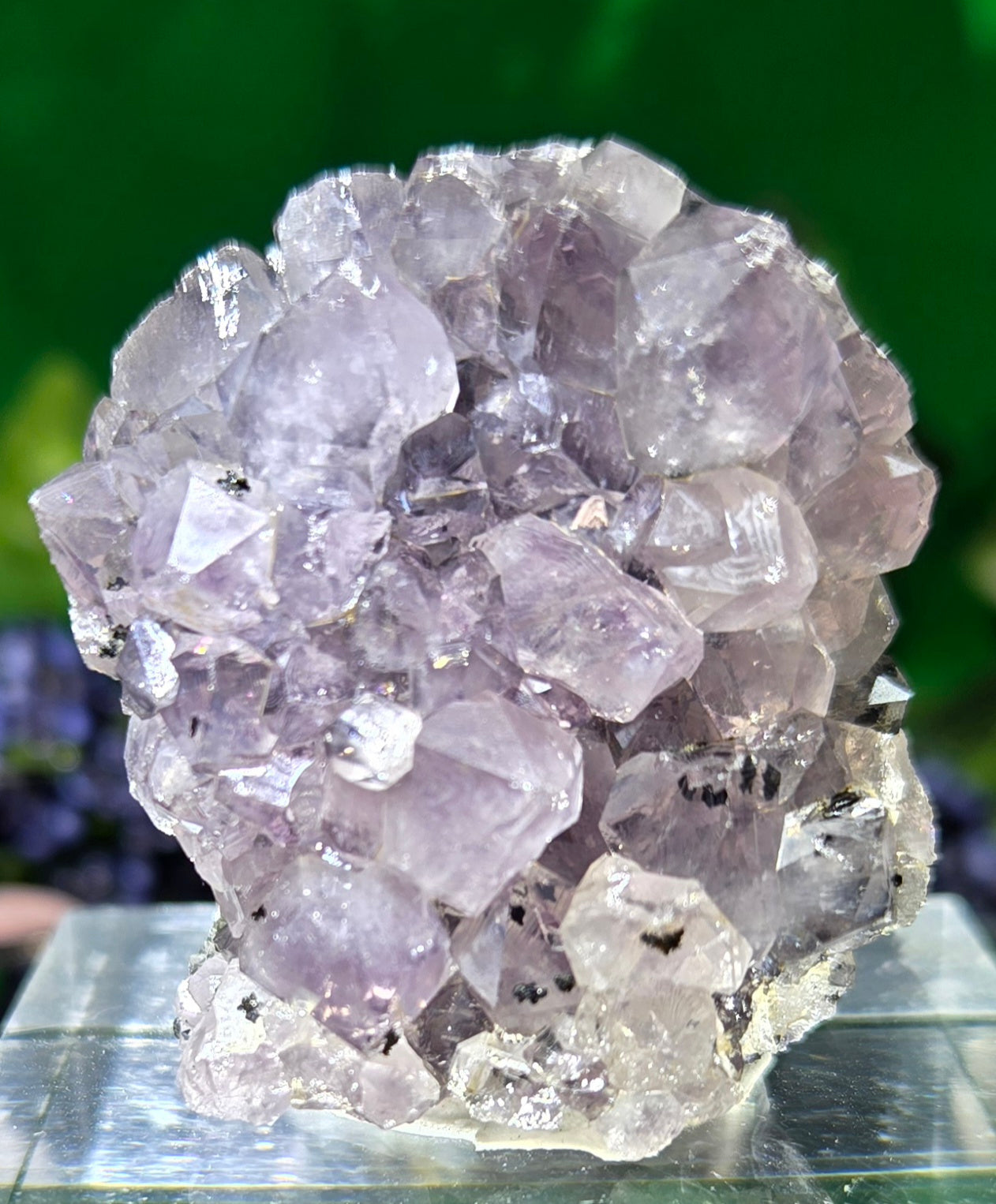 AMETHYST CLUSTER
