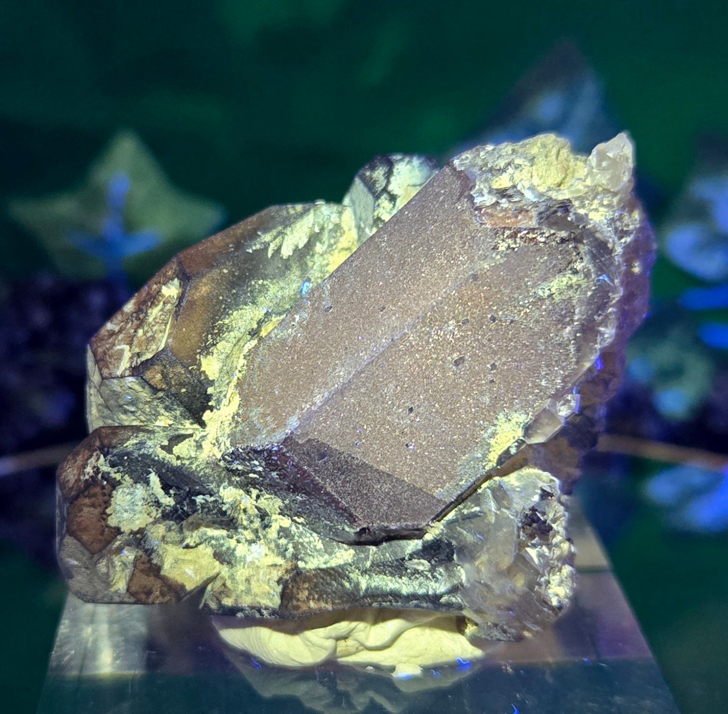 AMETHYST CLUSTER BRANDBERG
