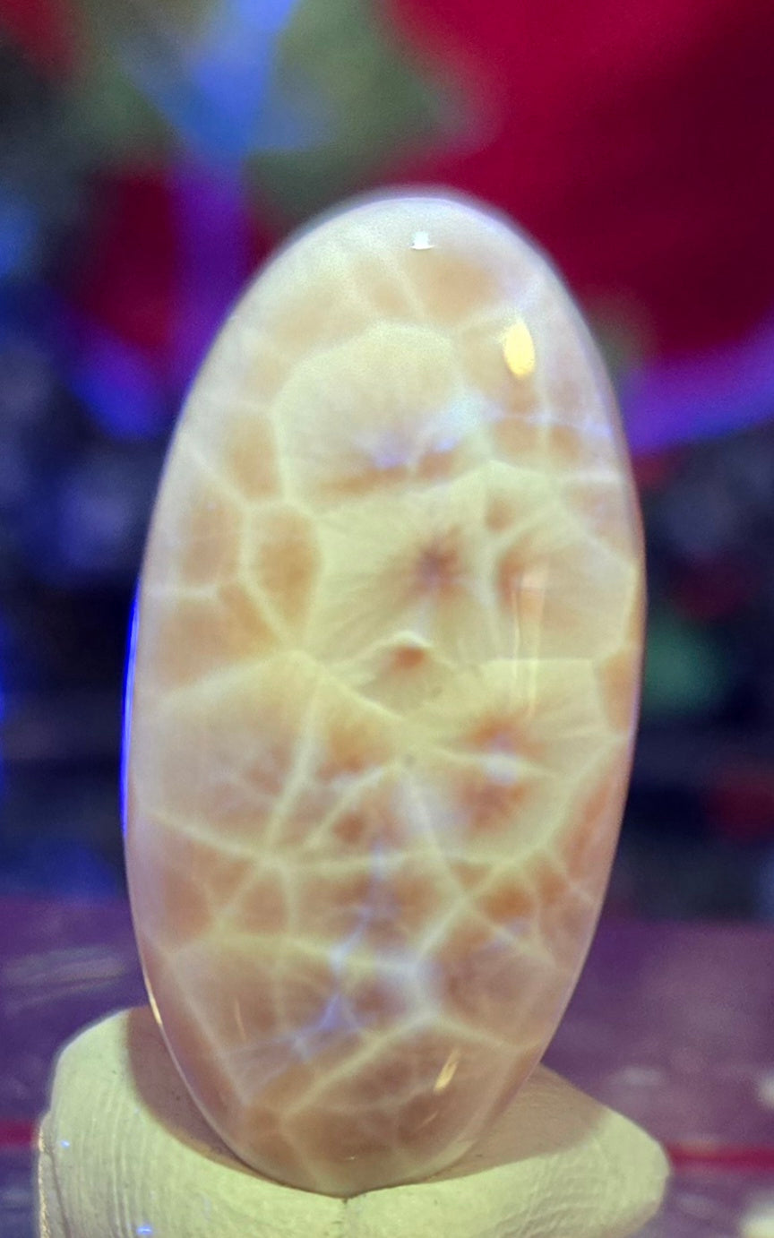 THOMPSONITE CABOCHON