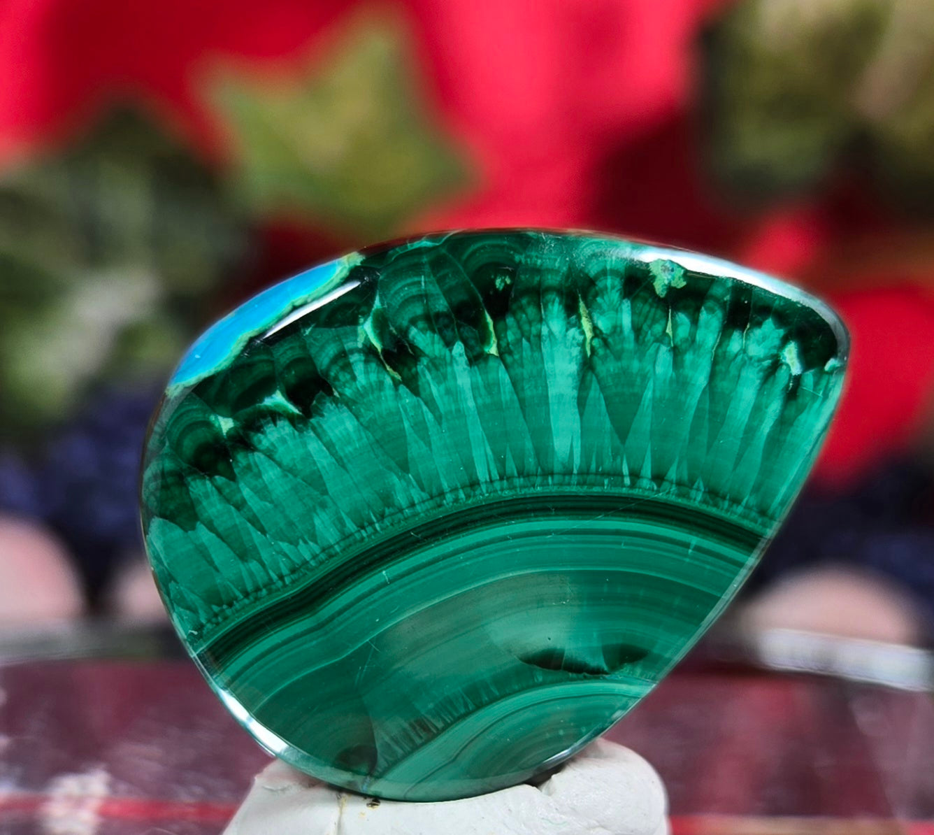 MALACHITE/CHRYSACOLA CABOCHON
