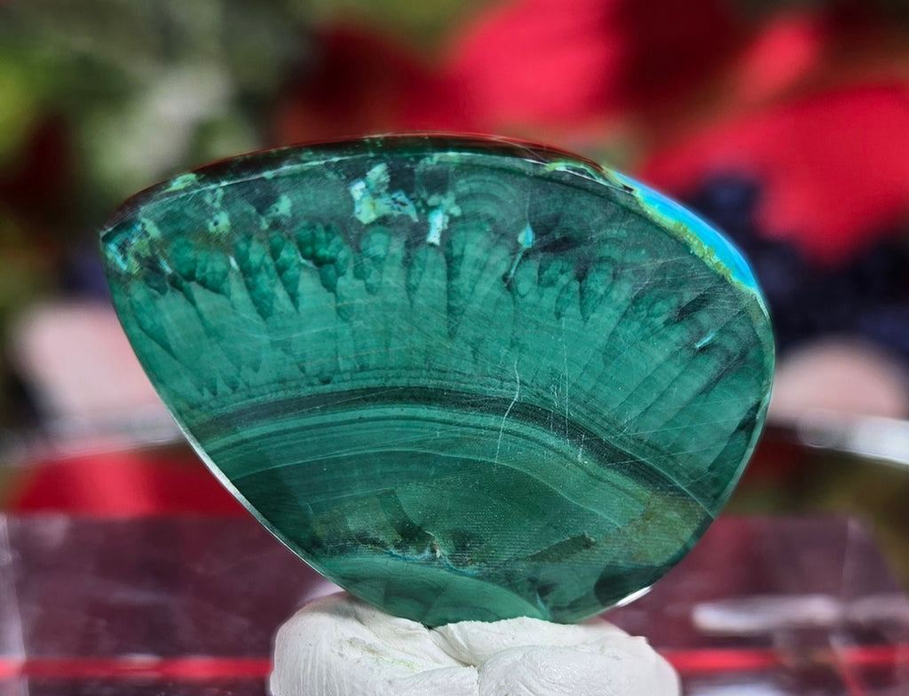 MALACHITE/CHRYSACOLA CABOCHON
