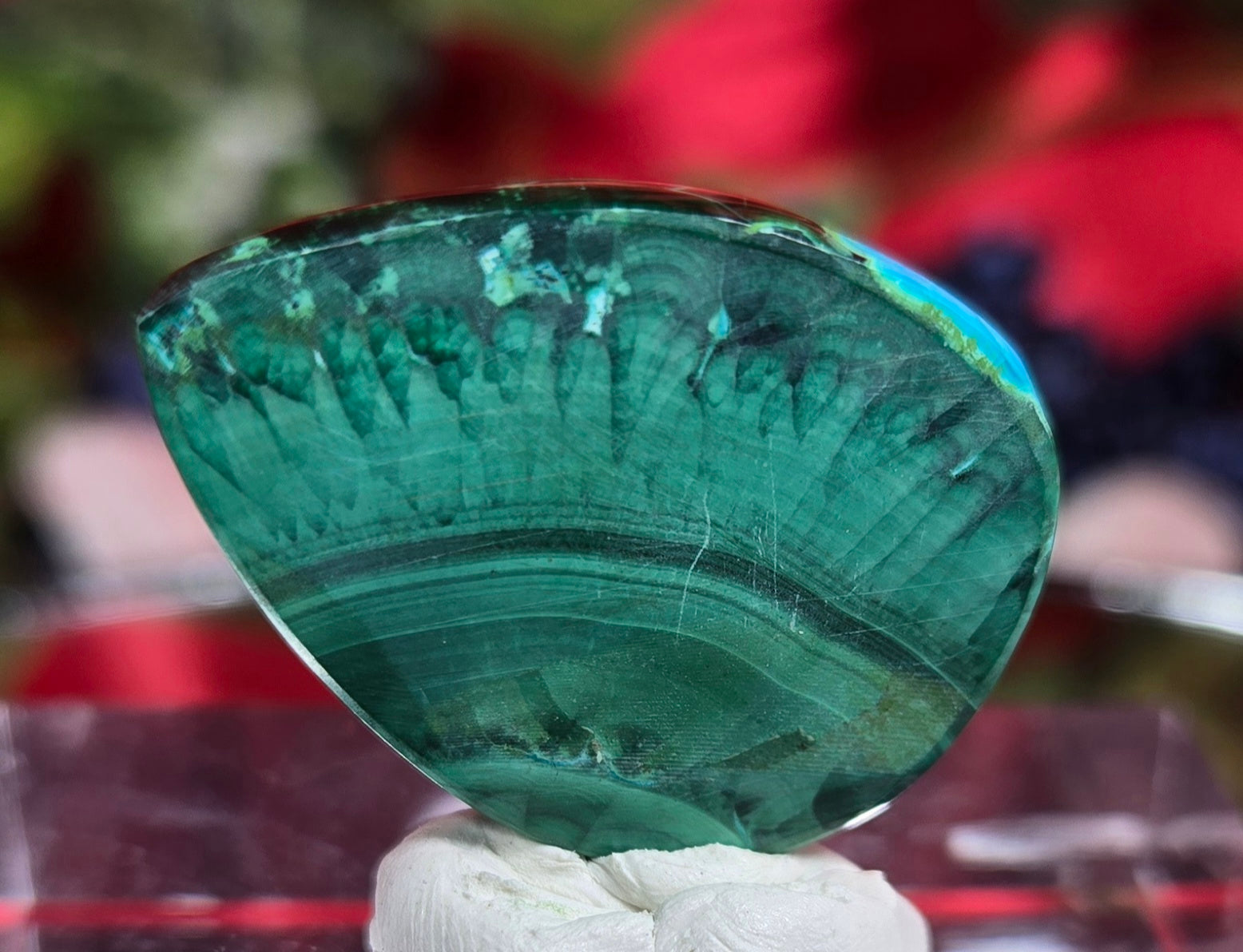 MALACHITE/CHRYSACOLA CABOCHON