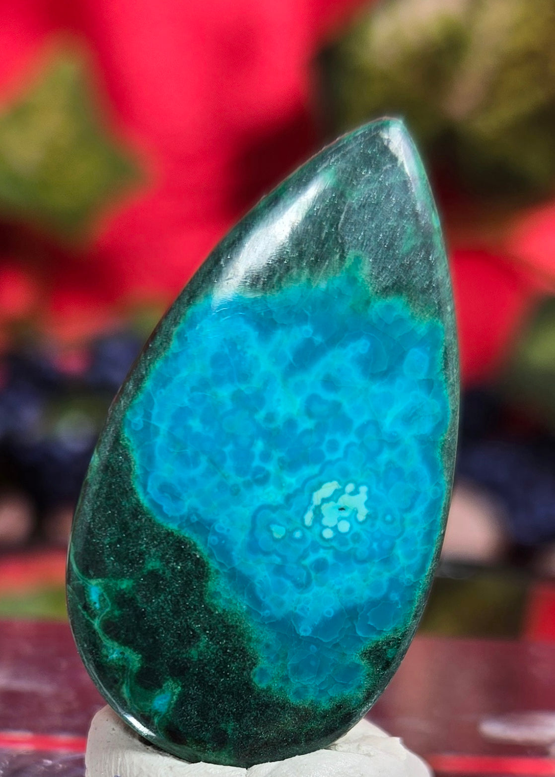 MALACHITE CHRYSACOLLA CABOCHONO
