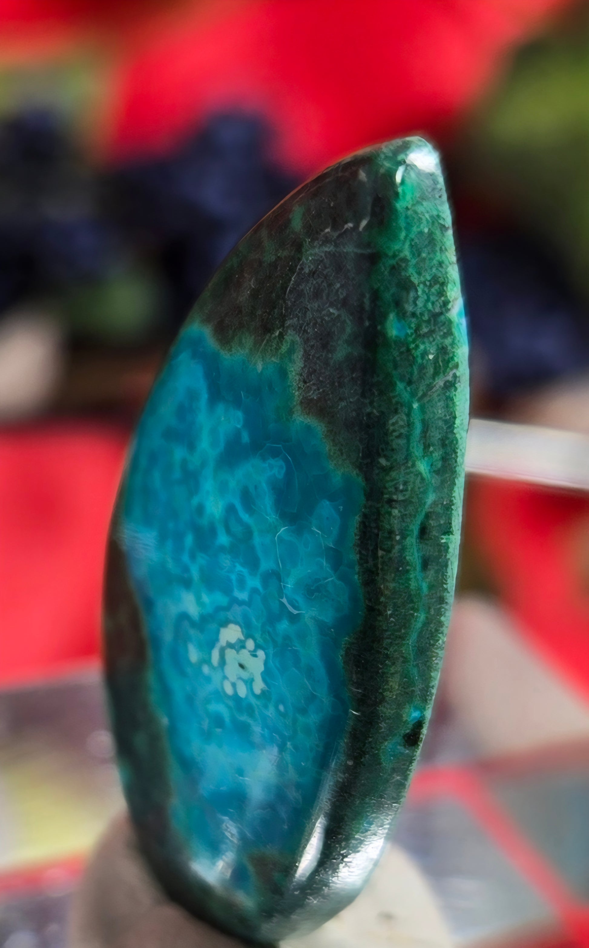 MALACHITE CHRYSACOLLA CABOCHONO