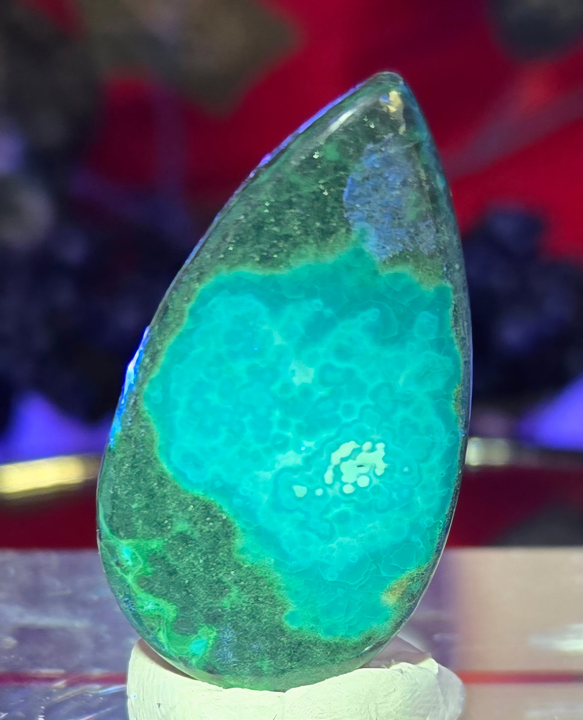 MALACHITE CHRYSACOLLA CABOCHONO