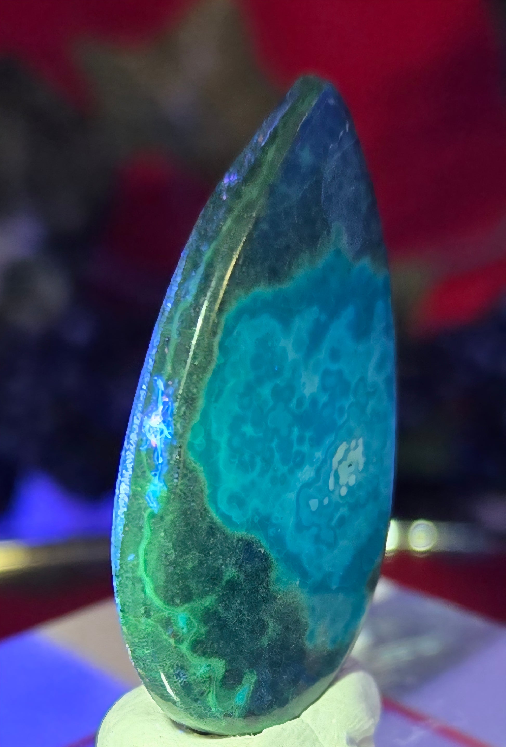 MALACHITE CHRYSACOLLA CABOCHONO